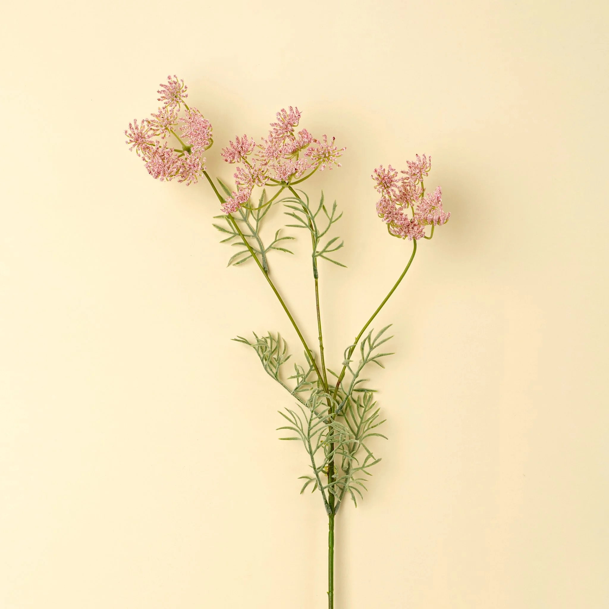 Queen Anne's Lace Spray, Pink