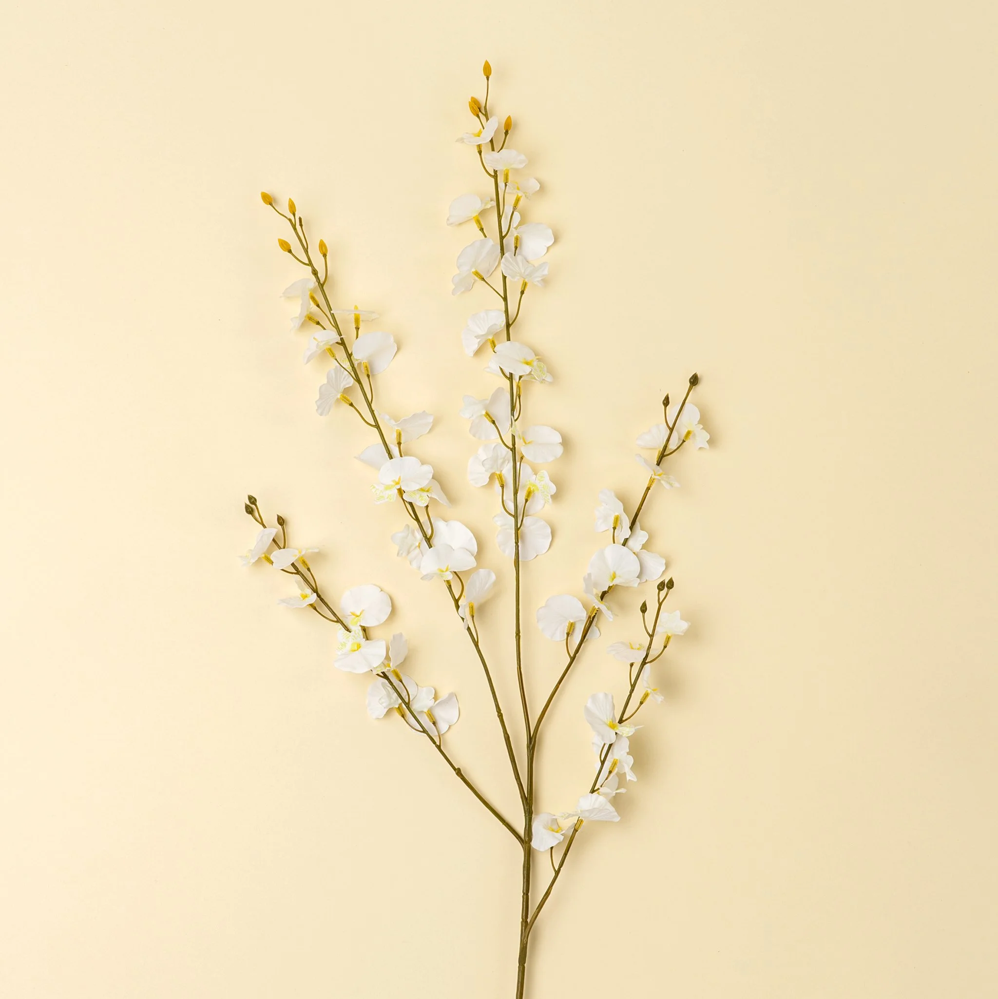 White Orchid Spray
