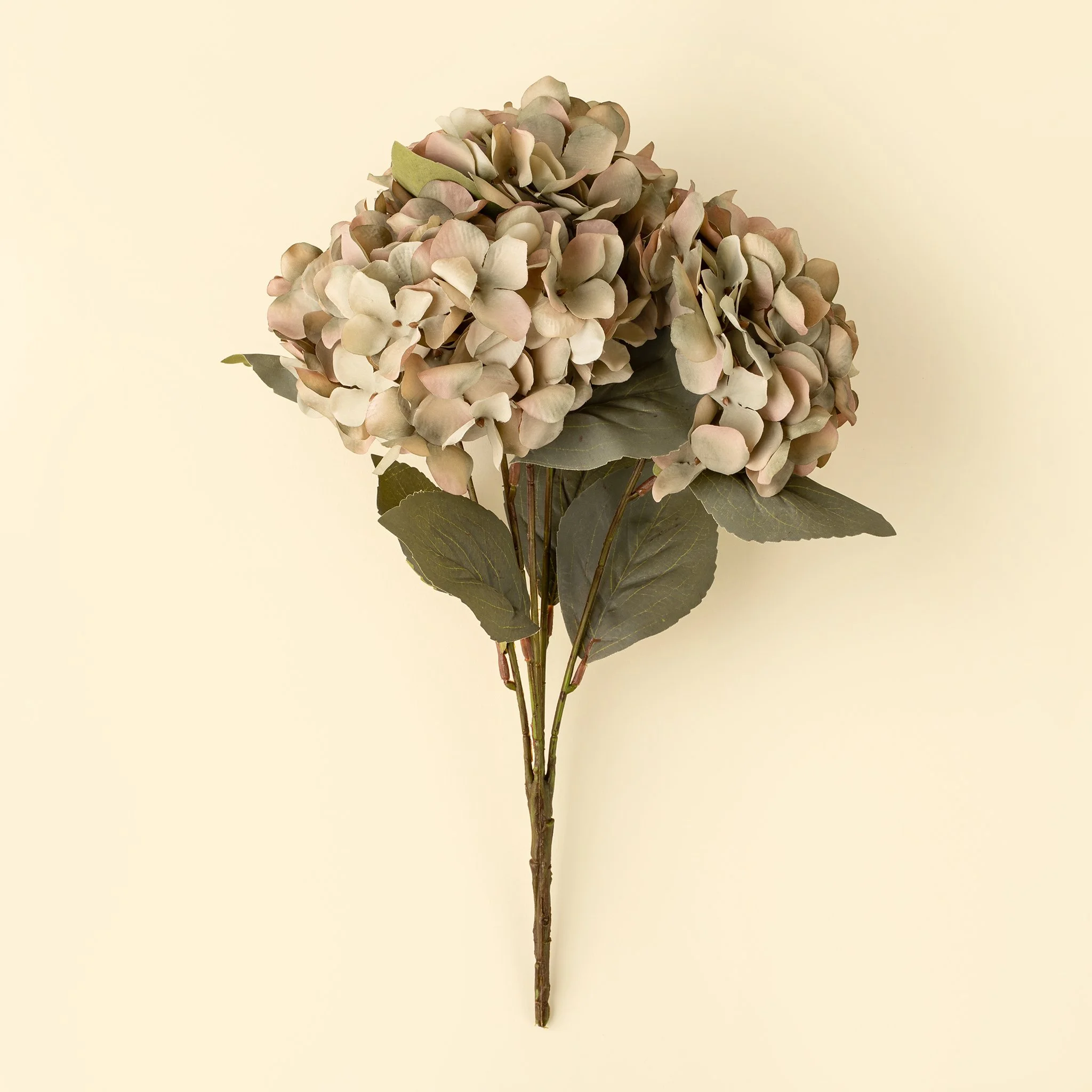 Autumn Hydrangea Spray, Vintage Green