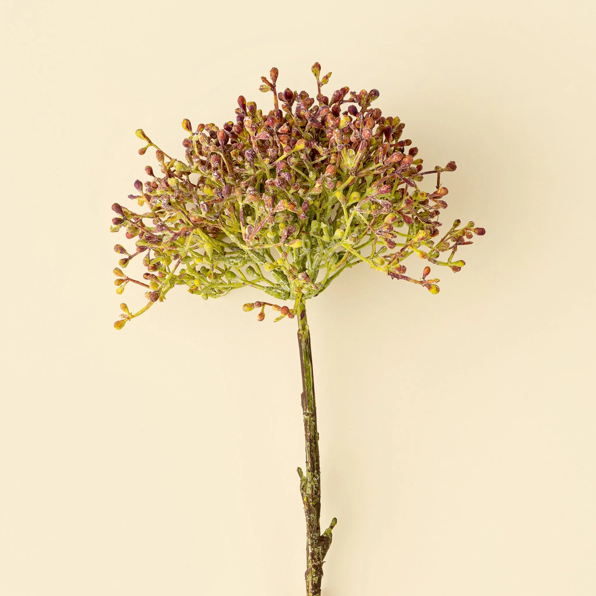 Viburnum Berry Stem, Pink