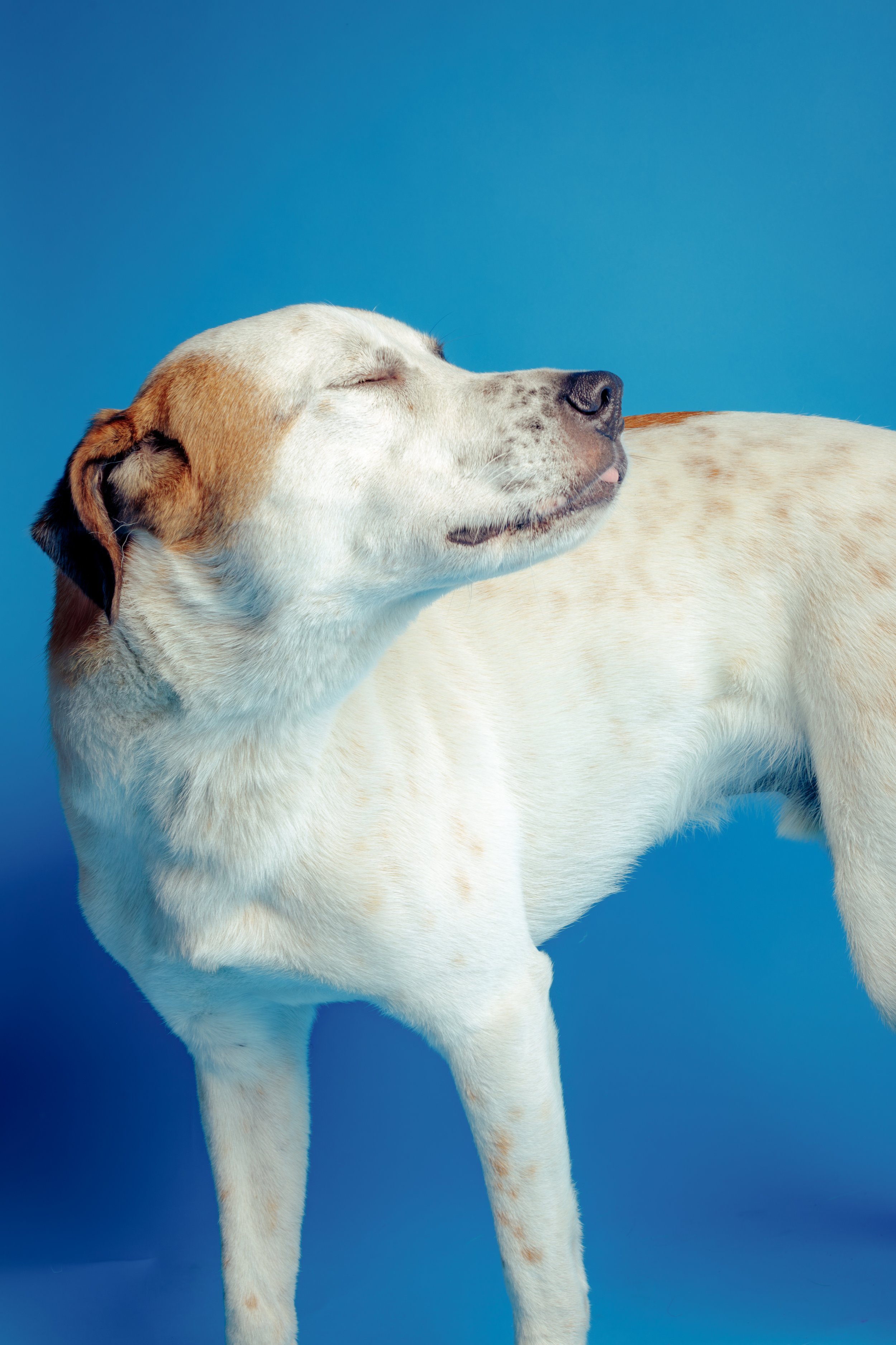 8_9 tuli-490-Enhanced-NR.jpg