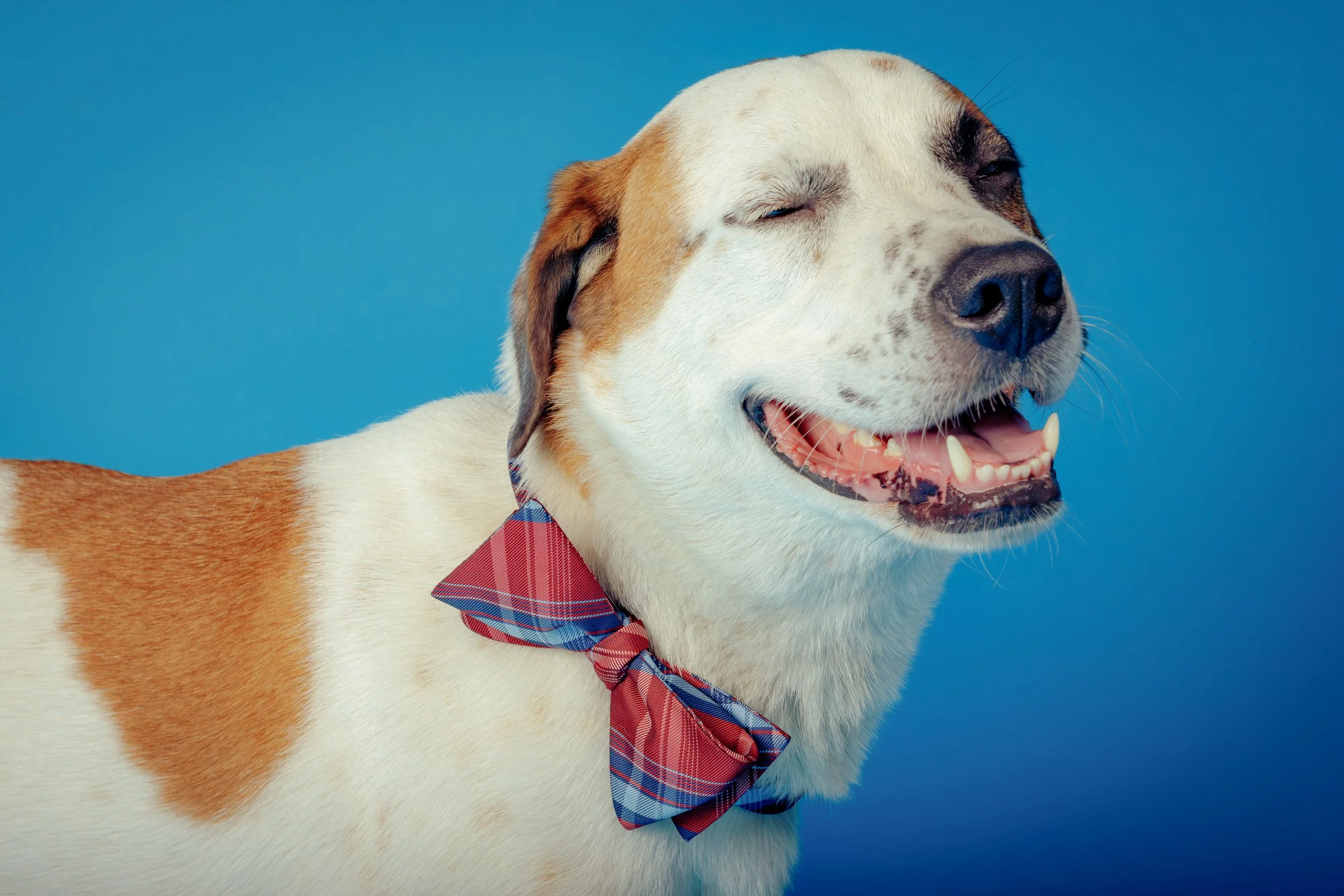 8_9 tuli-573-Enhanced-NR.jpg