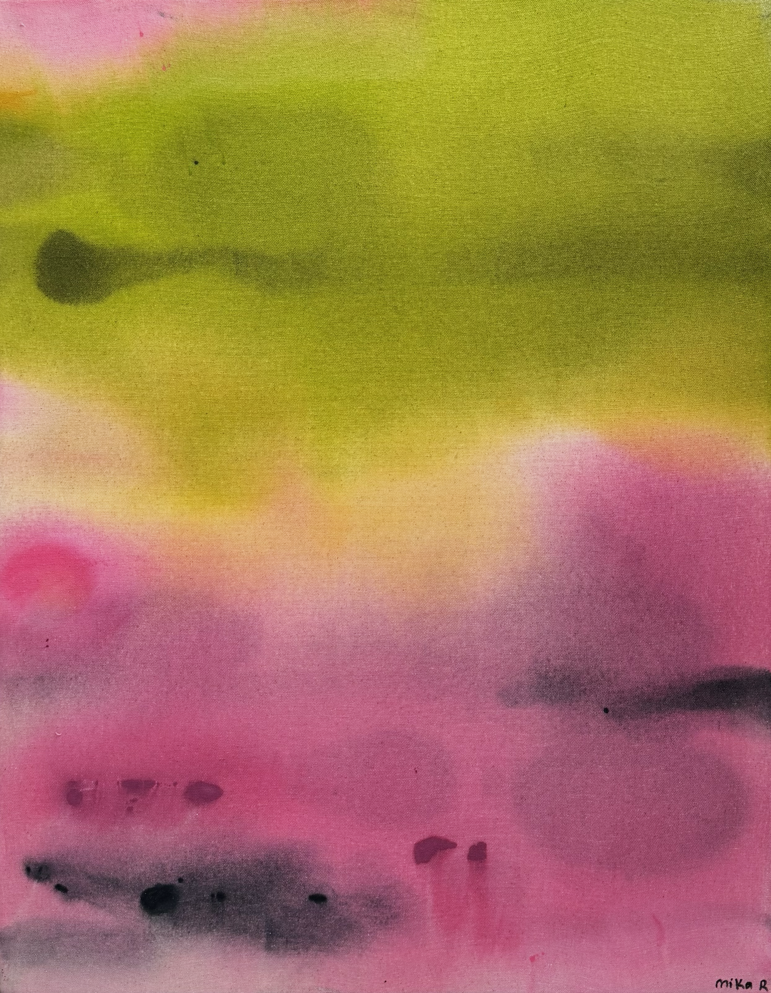Figues - 55,8 x 71,1 cm