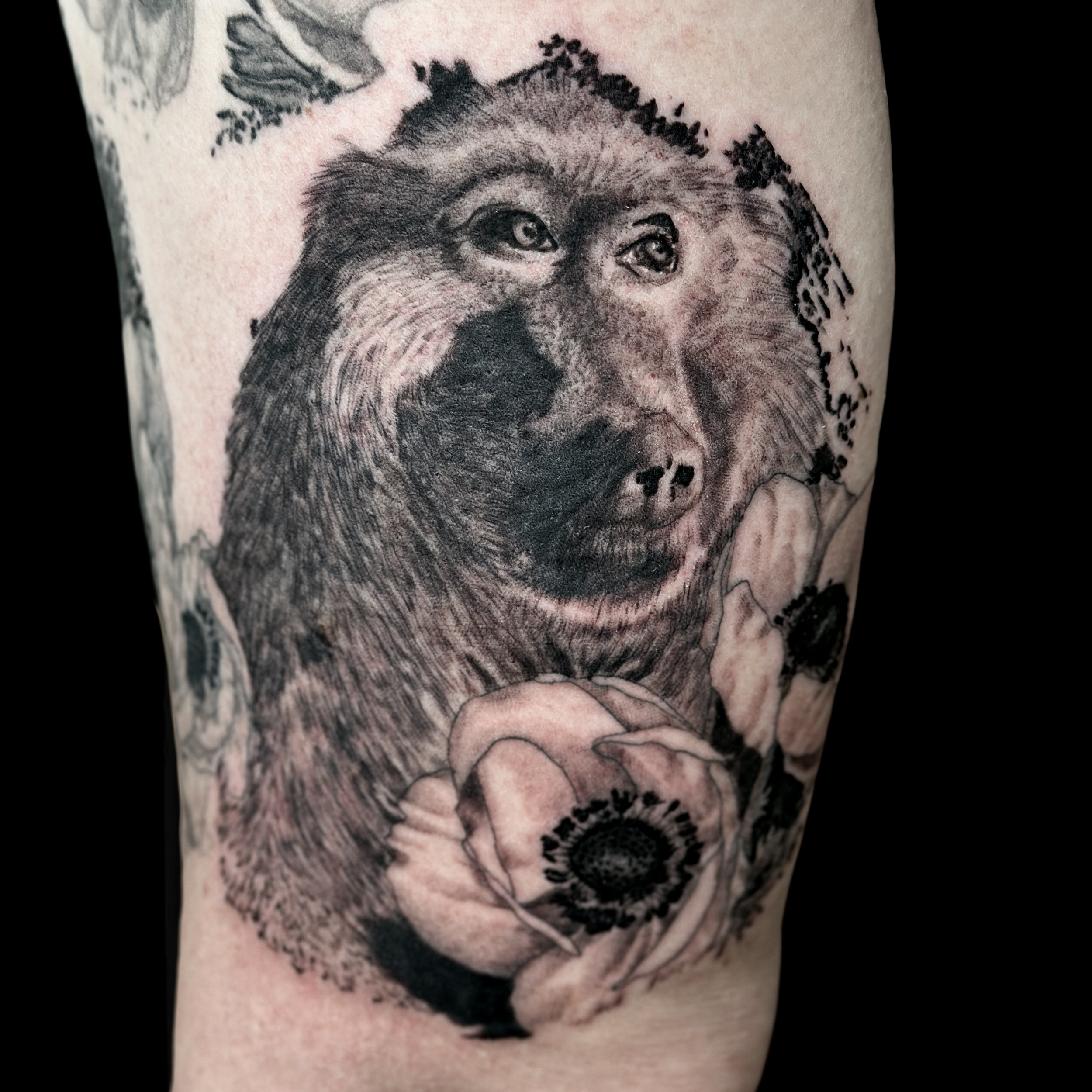 tattoo-setup.png