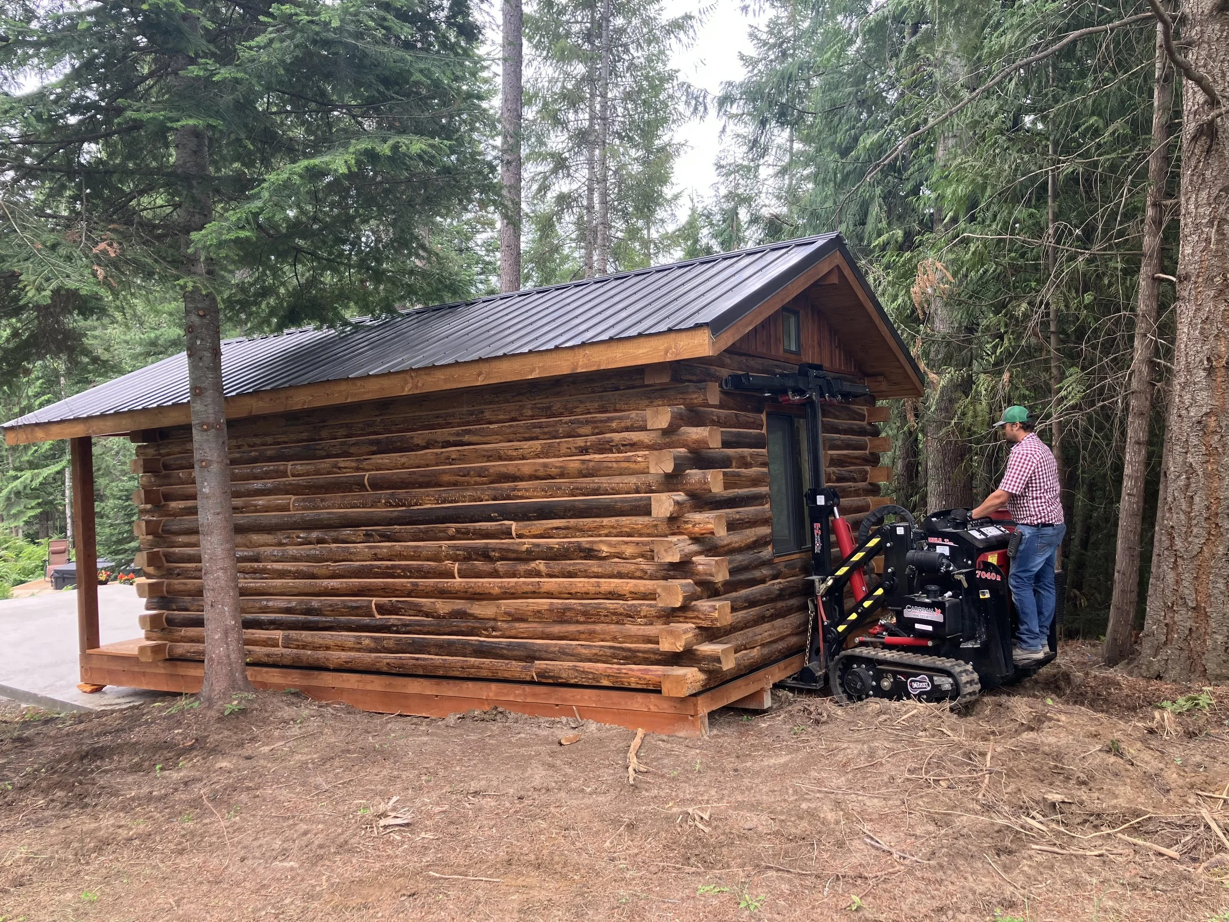 Moving a portable log cabin with a mule