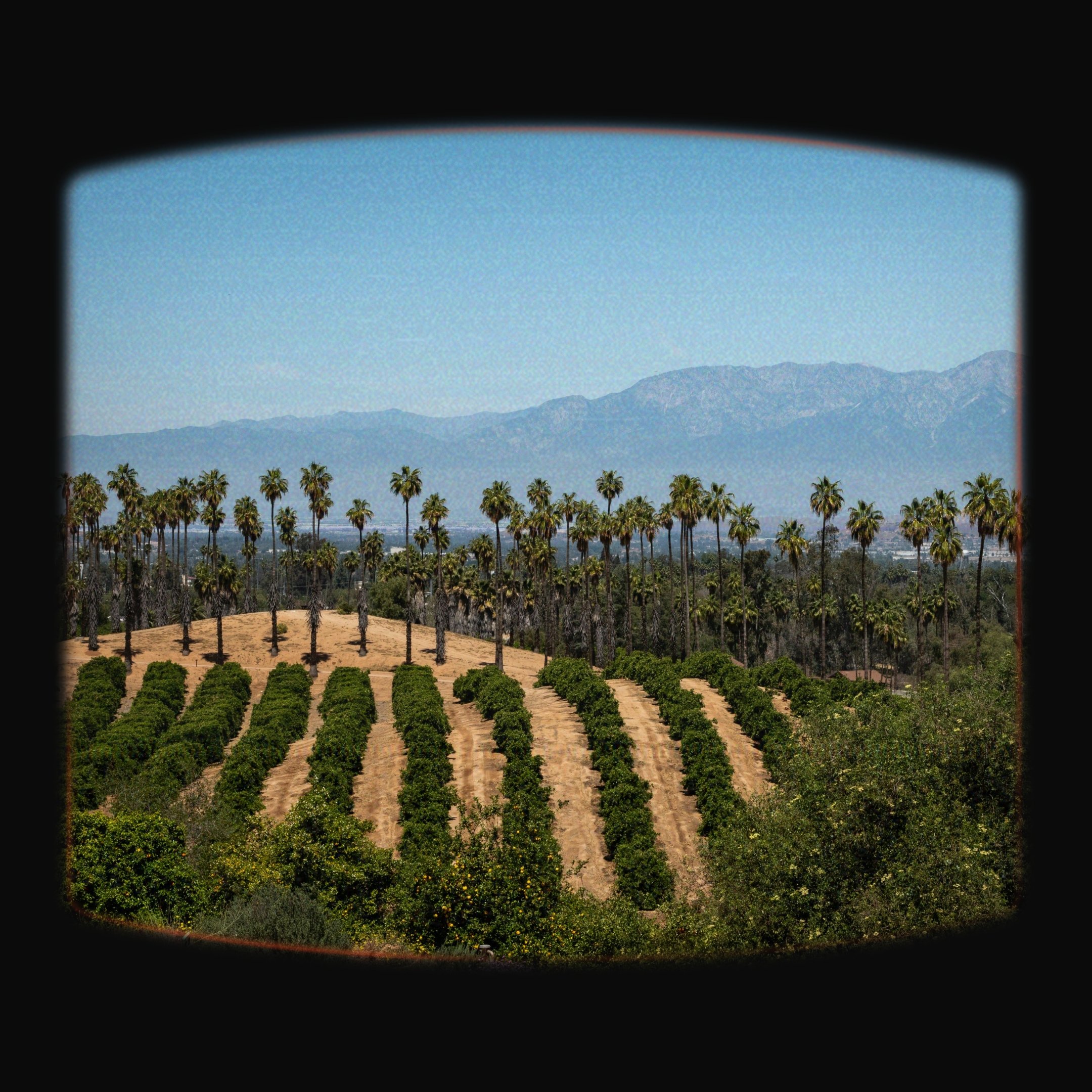 Top 6 West Coast Wine Country Weekend Getaways