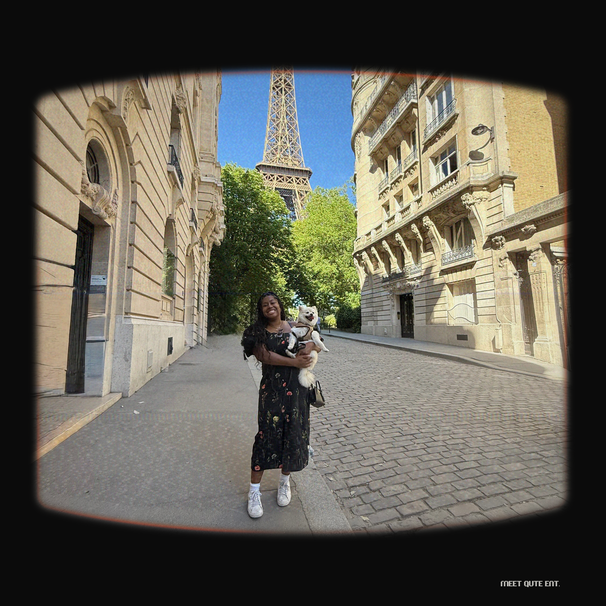 How to Move from the US to the UK (via Paris) with a Pet