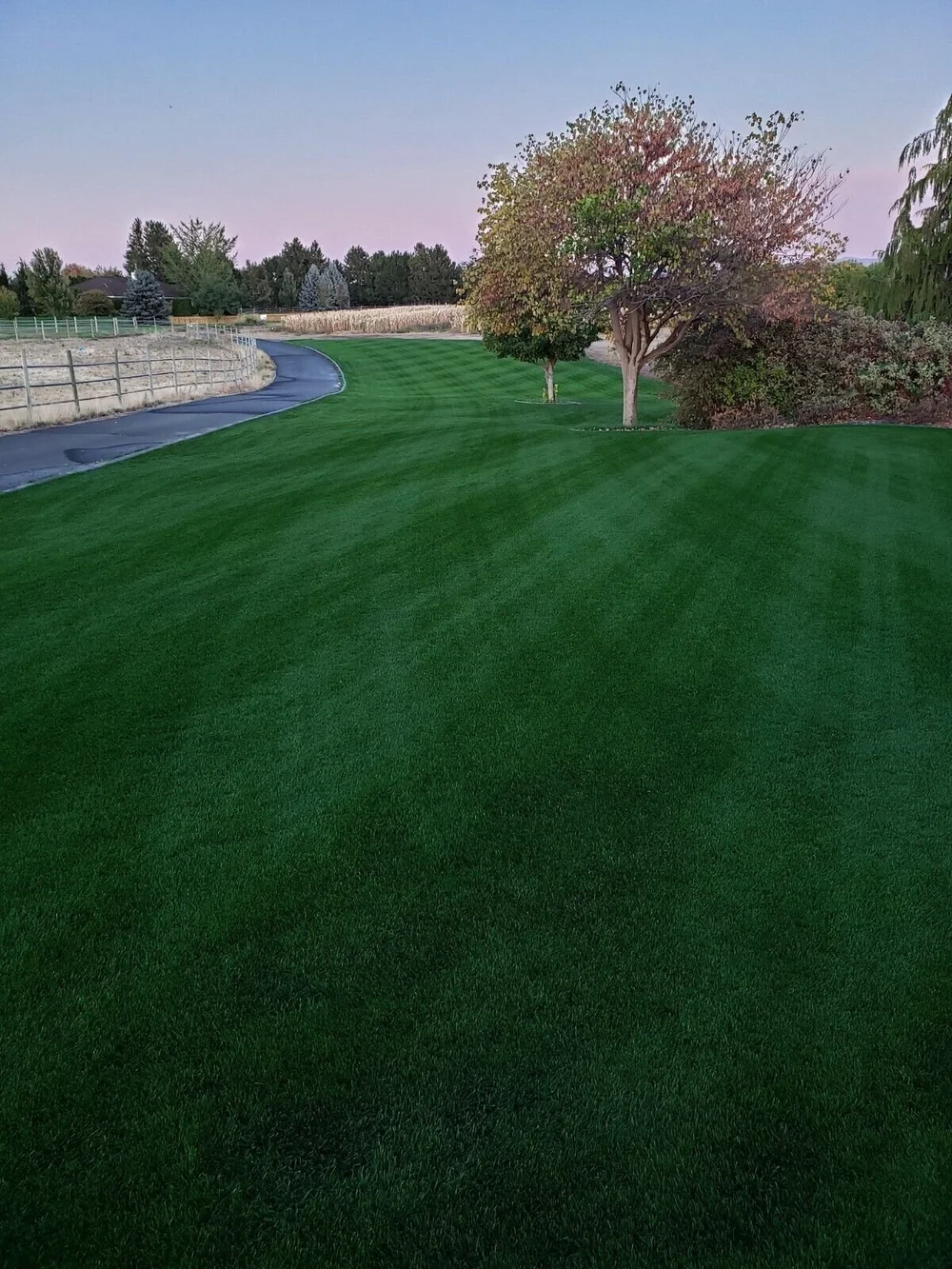 BEST NITRA KING 21-2-4 ALL SEASON LAWN Professional Fertilizer