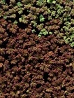 s-l140.webp