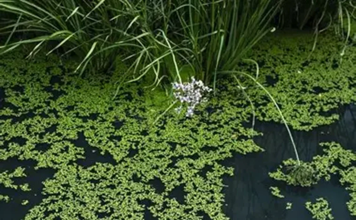 s-l1600 (18).webp