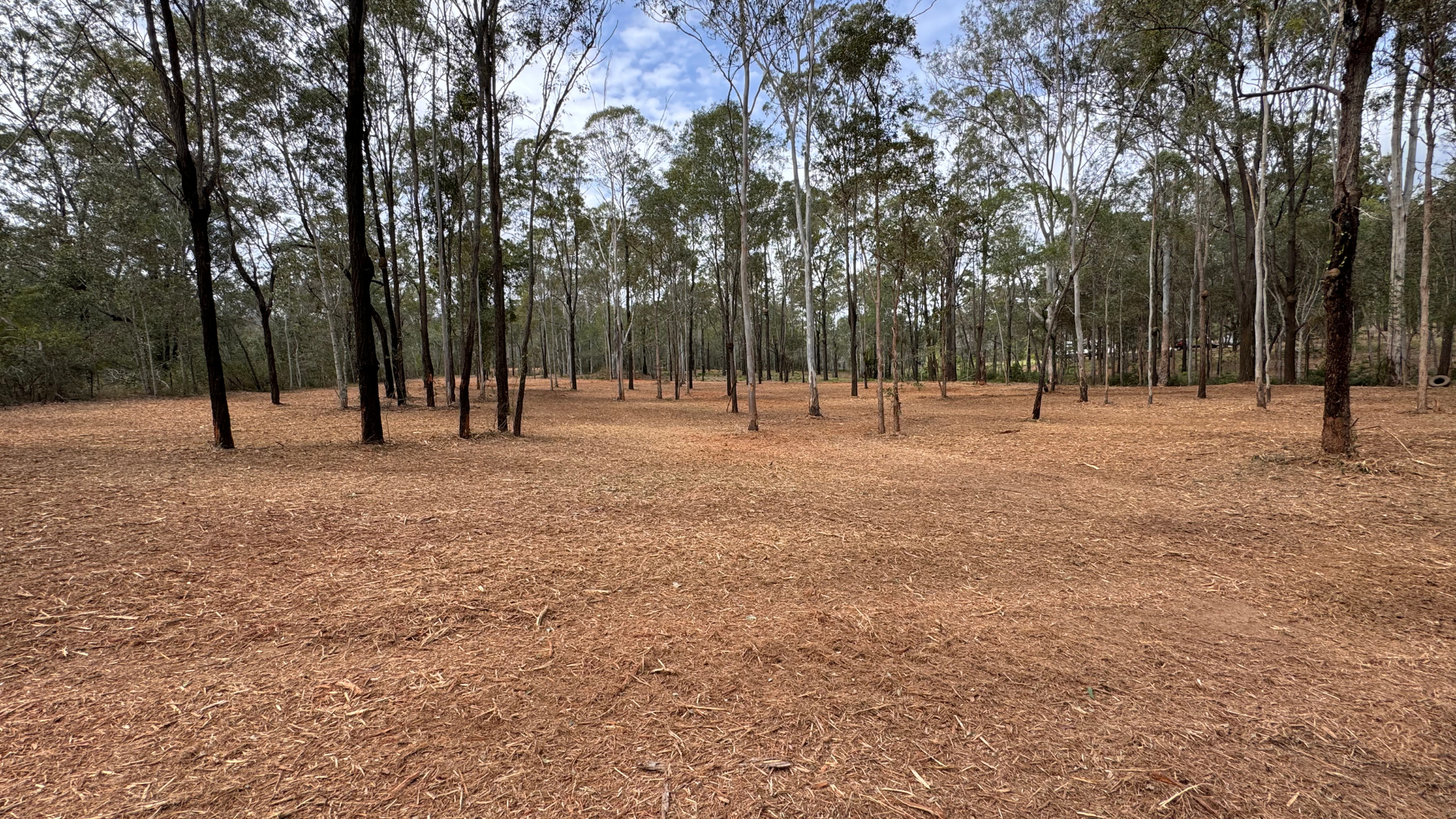 The Science Behind Forestry Mulching Queensland: Soil Health, Fire Risk And Regrowth Explained