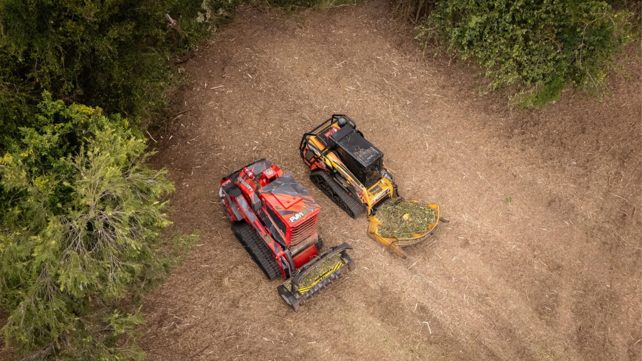 Lantana Removal Queensland: Why It’s One Of The Hardest Weeds To Eliminate