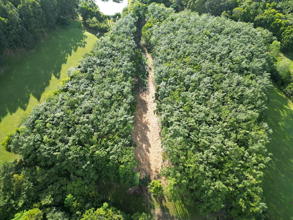 Land Clearing Brisbane — PROTRAX MULCHING