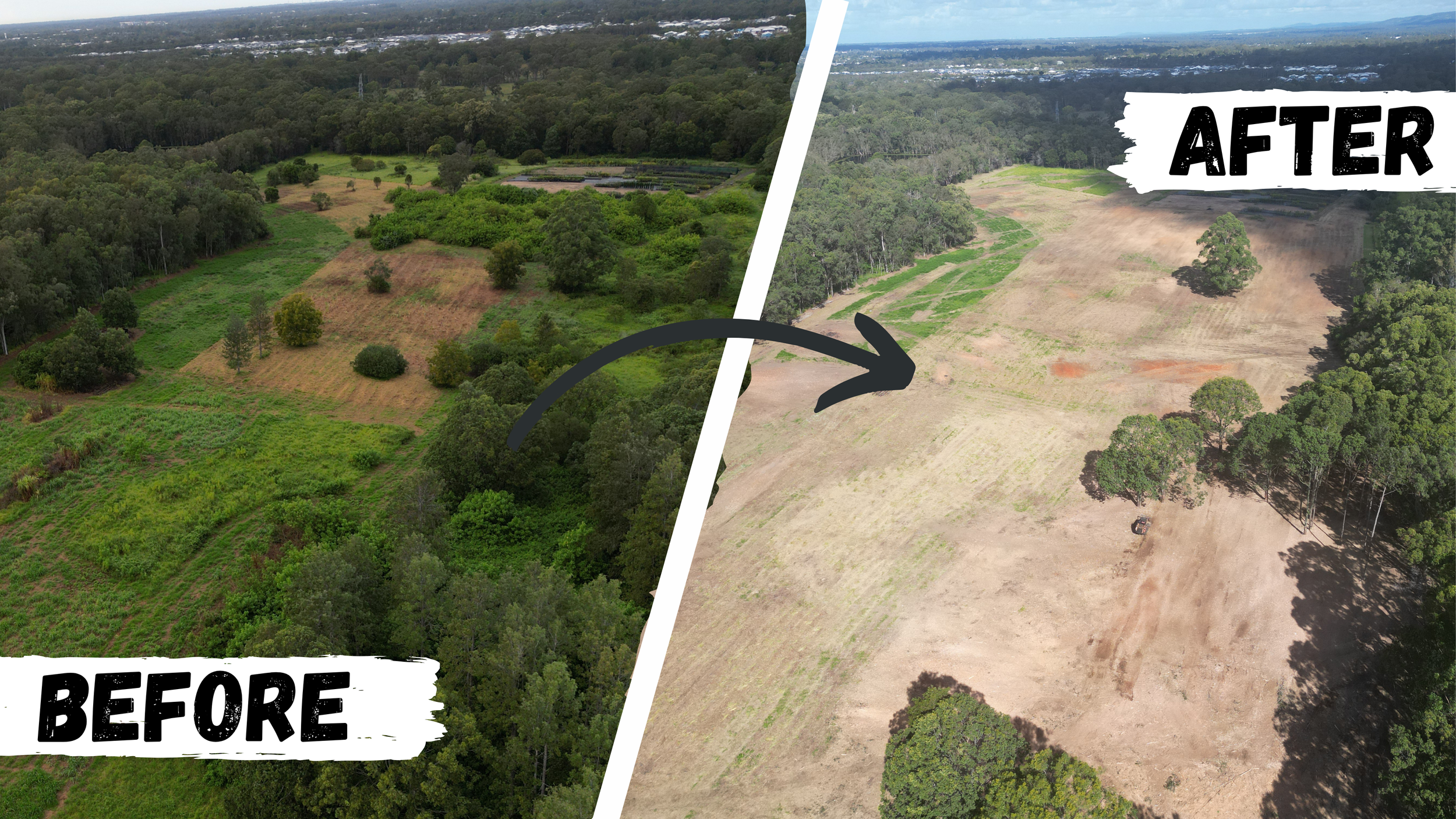 SITE PREPARATION CLEARING