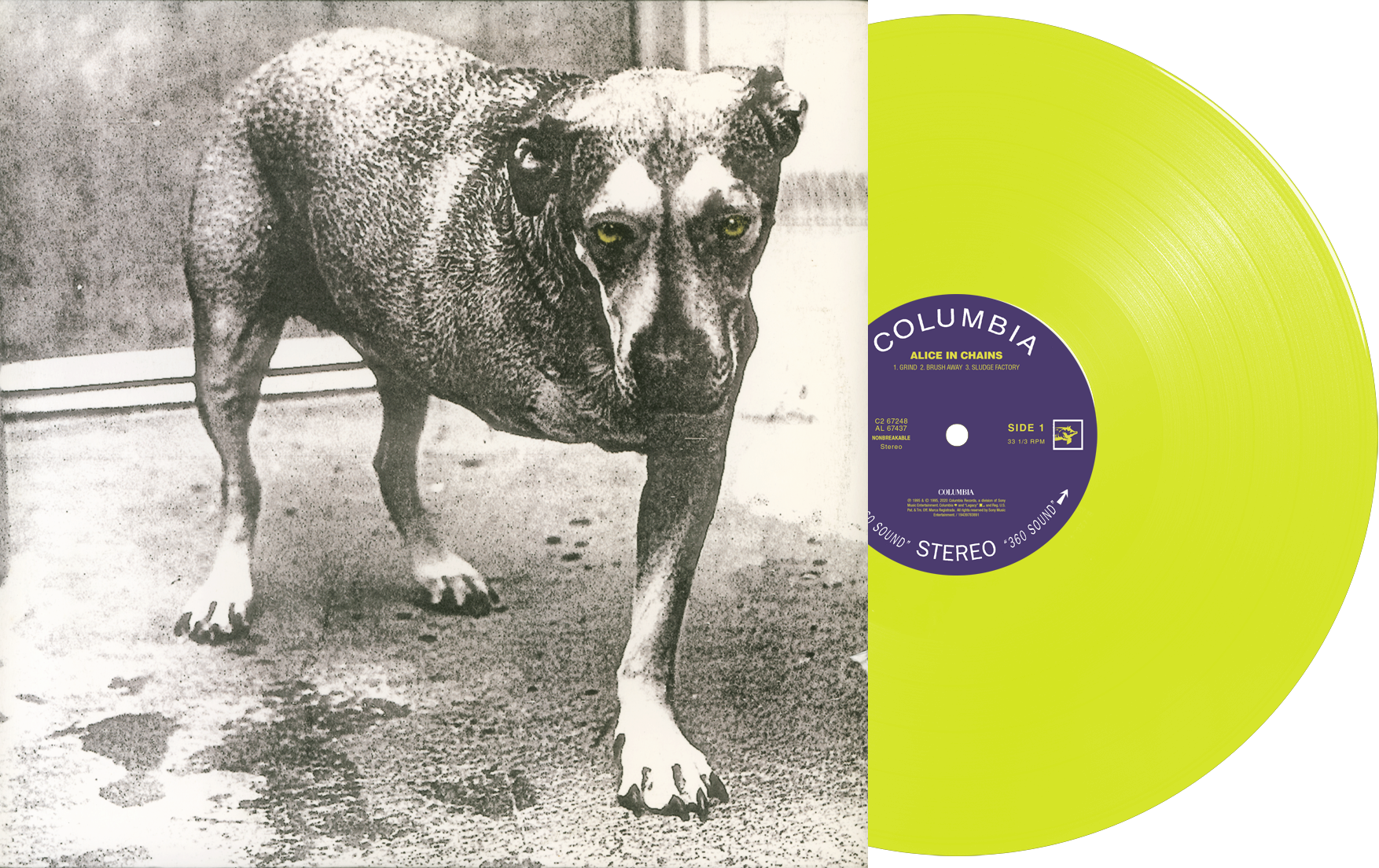 AIC_AIC_AllAccounts_YellowVinyl_ProductShot.png