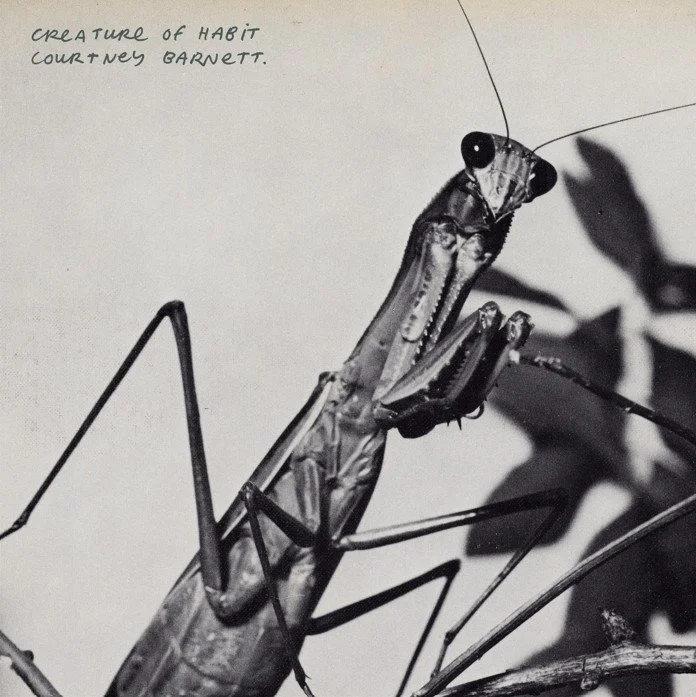 Courtney Barnett | Creature of Habit (Released 27th March 2026)