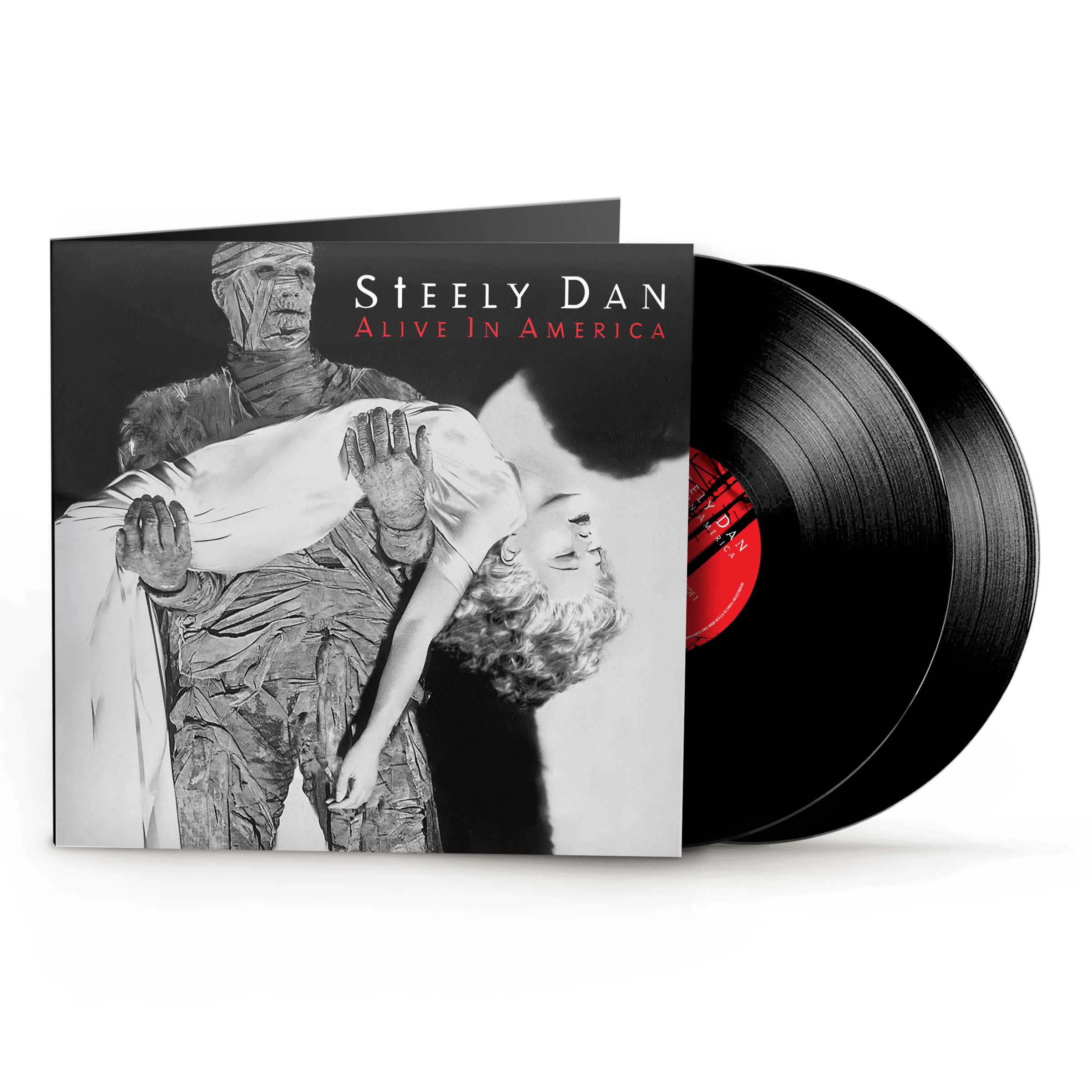 Steely Dan | Alive In America