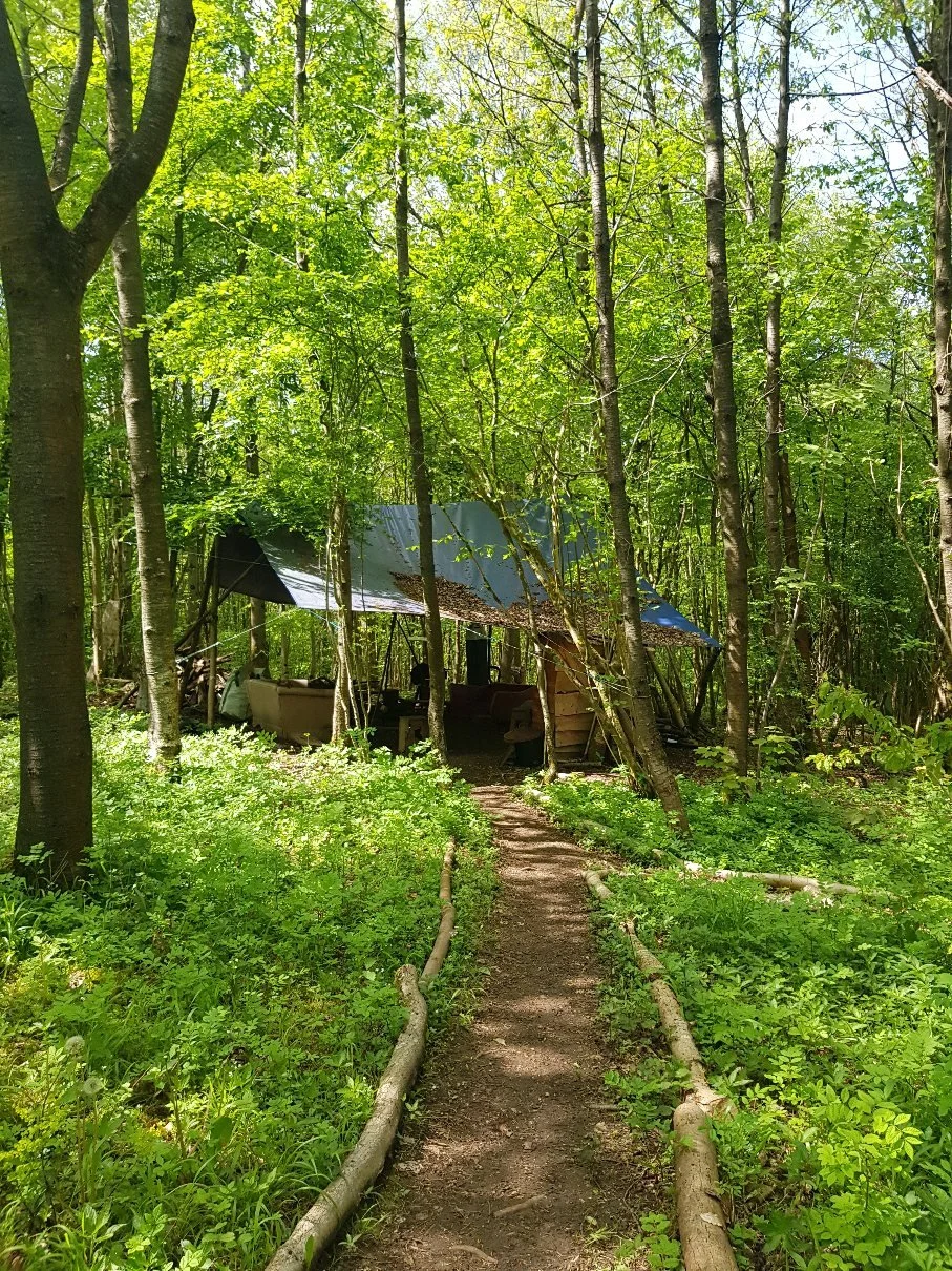 Woodland Private Hire for parties and celebrations. Outdoor party venue. Outdoor weddings.