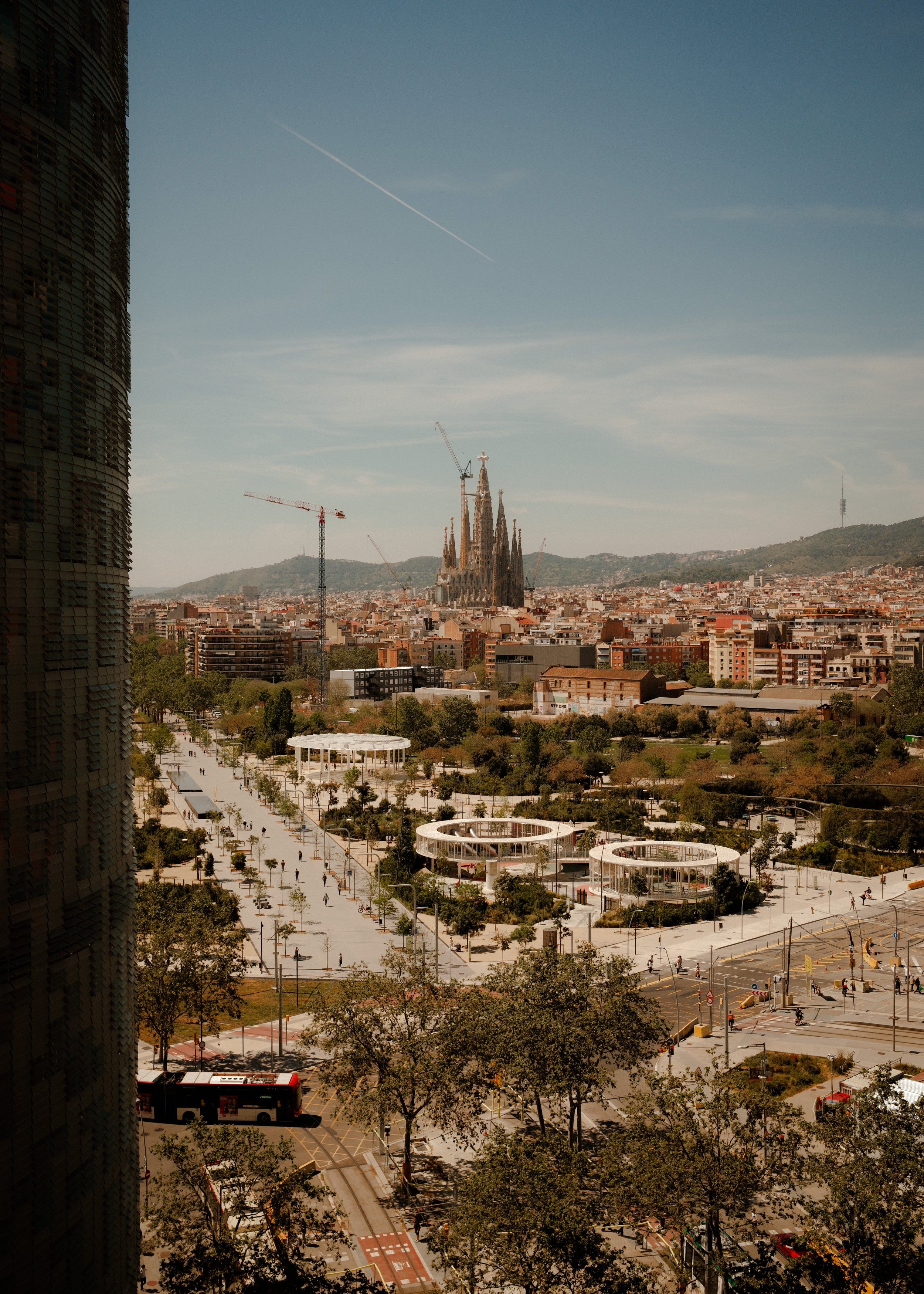 DSCF1583.jpg