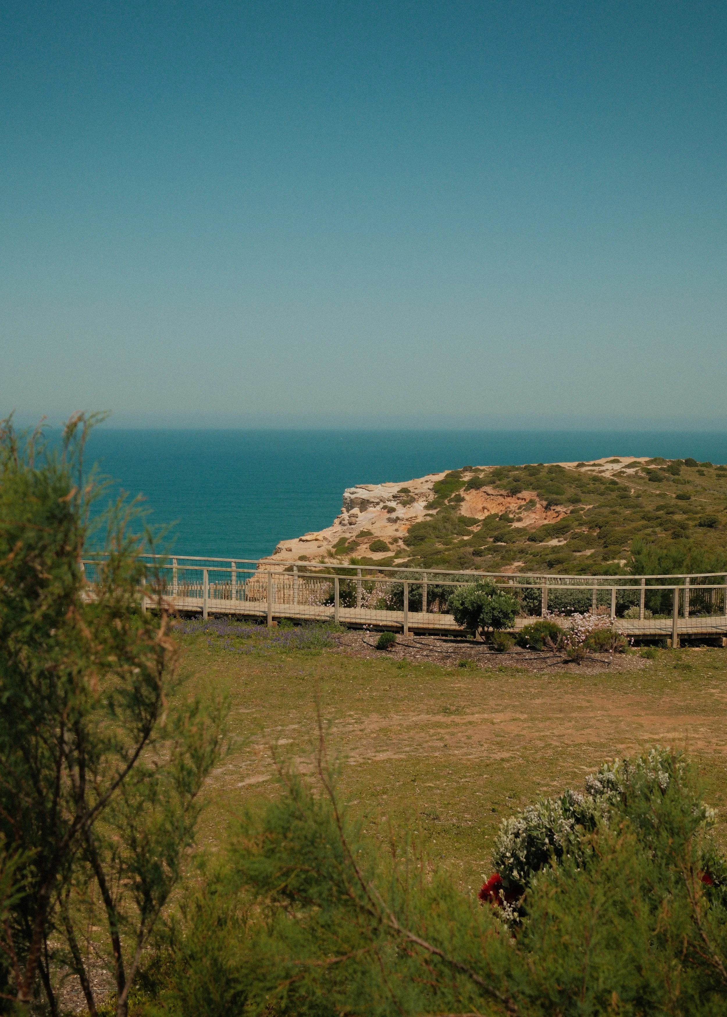 DSCF5209.jpg