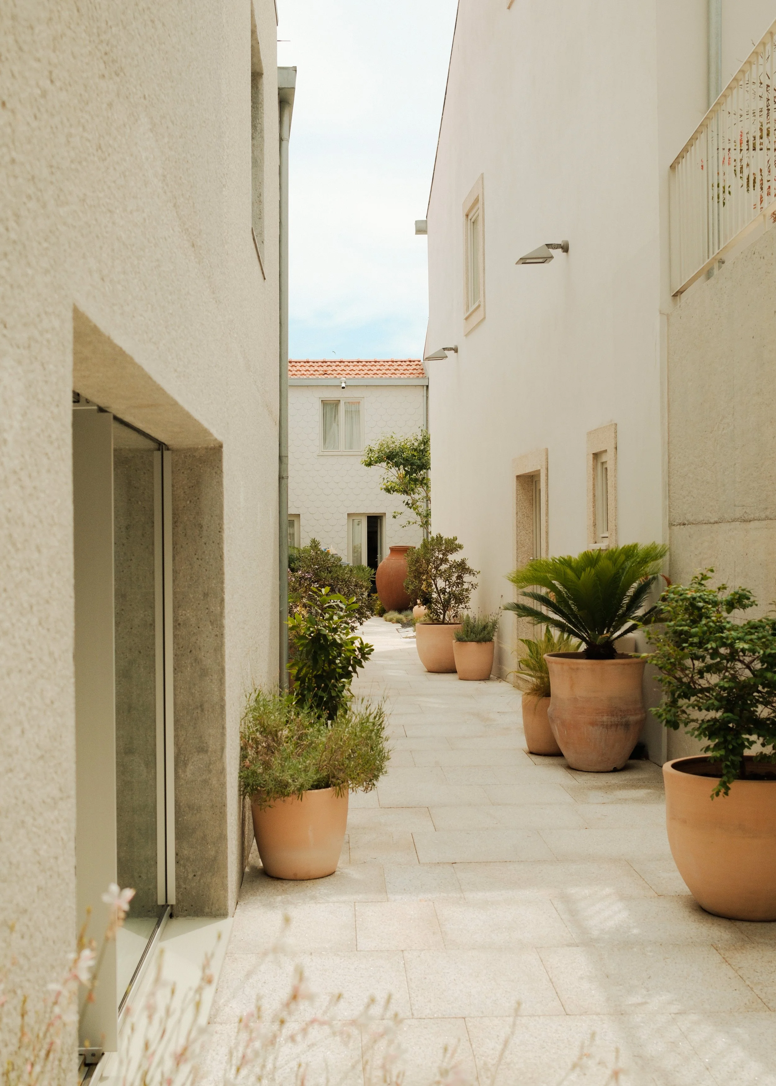 DSCF5971.jpg