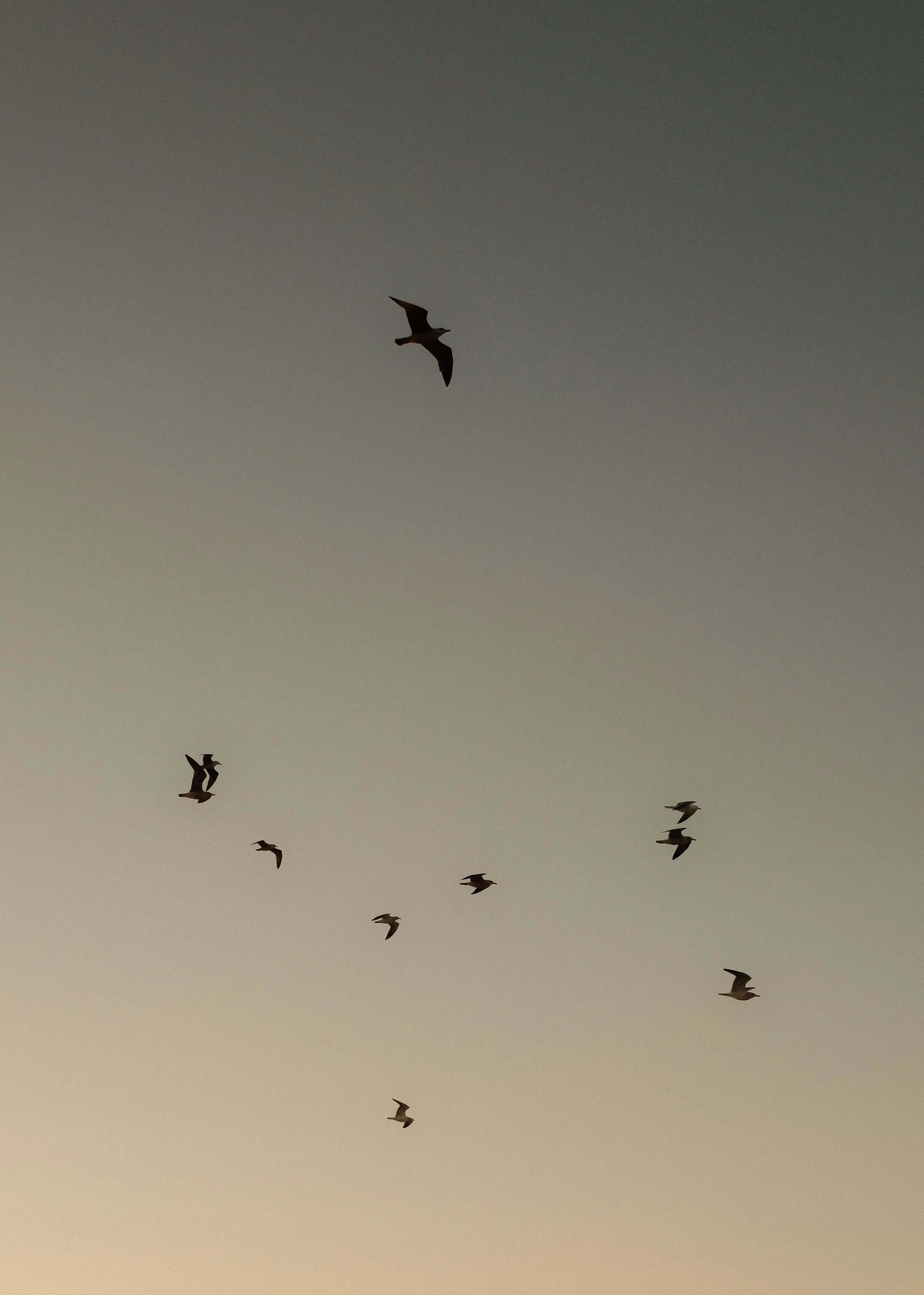 DSCF8728.jpg