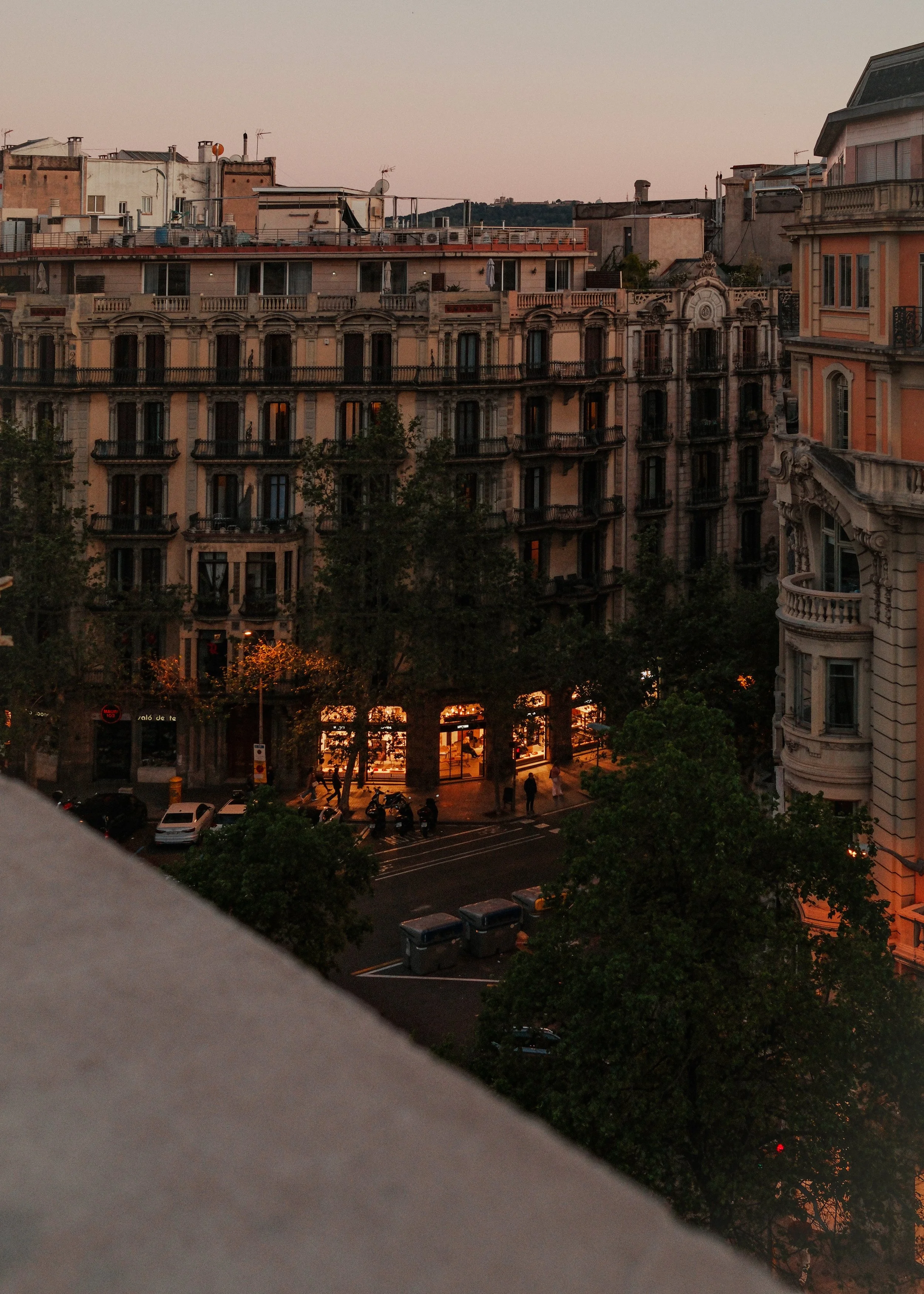 DSCF1320.jpg