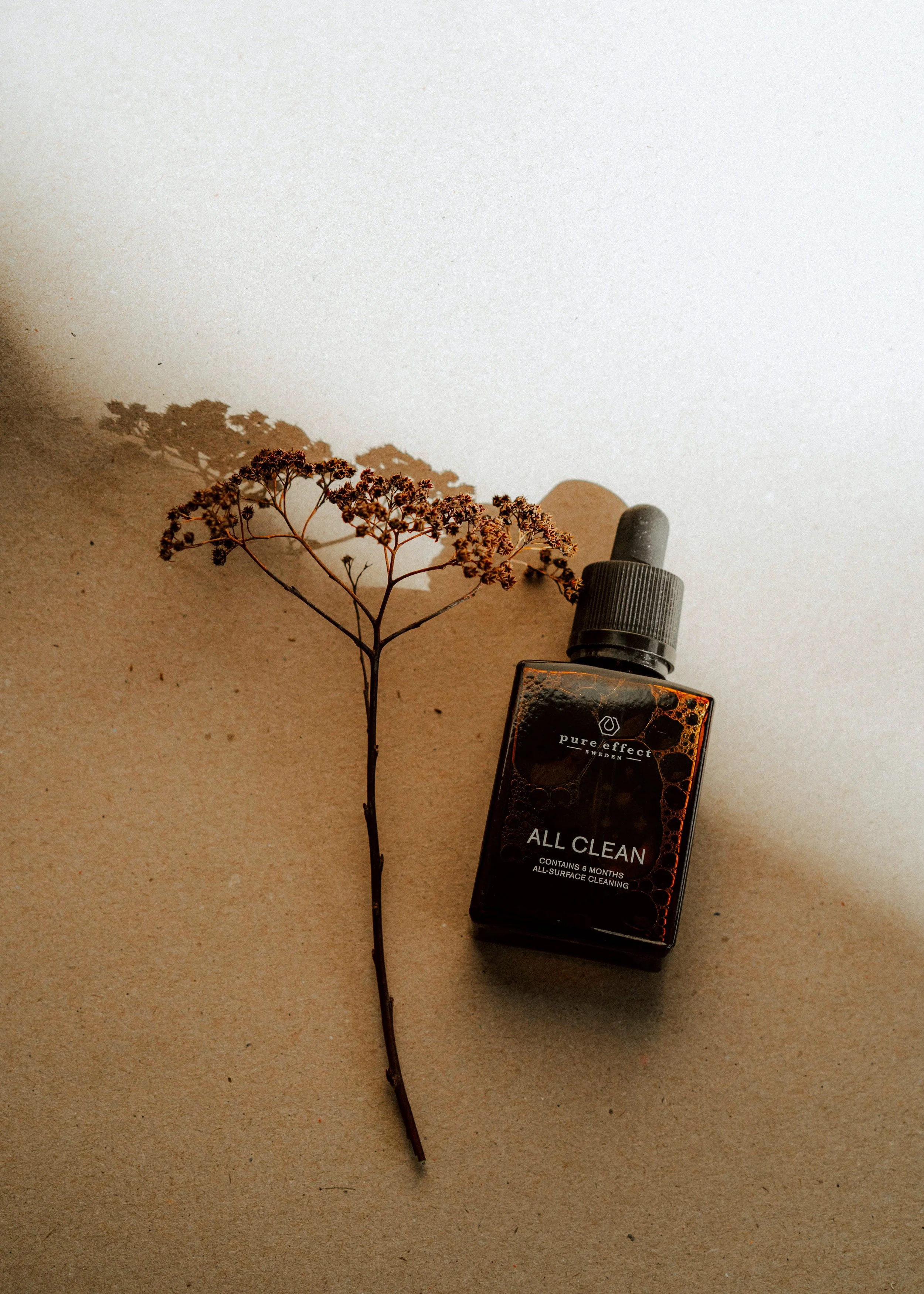 DSC00876.jpg