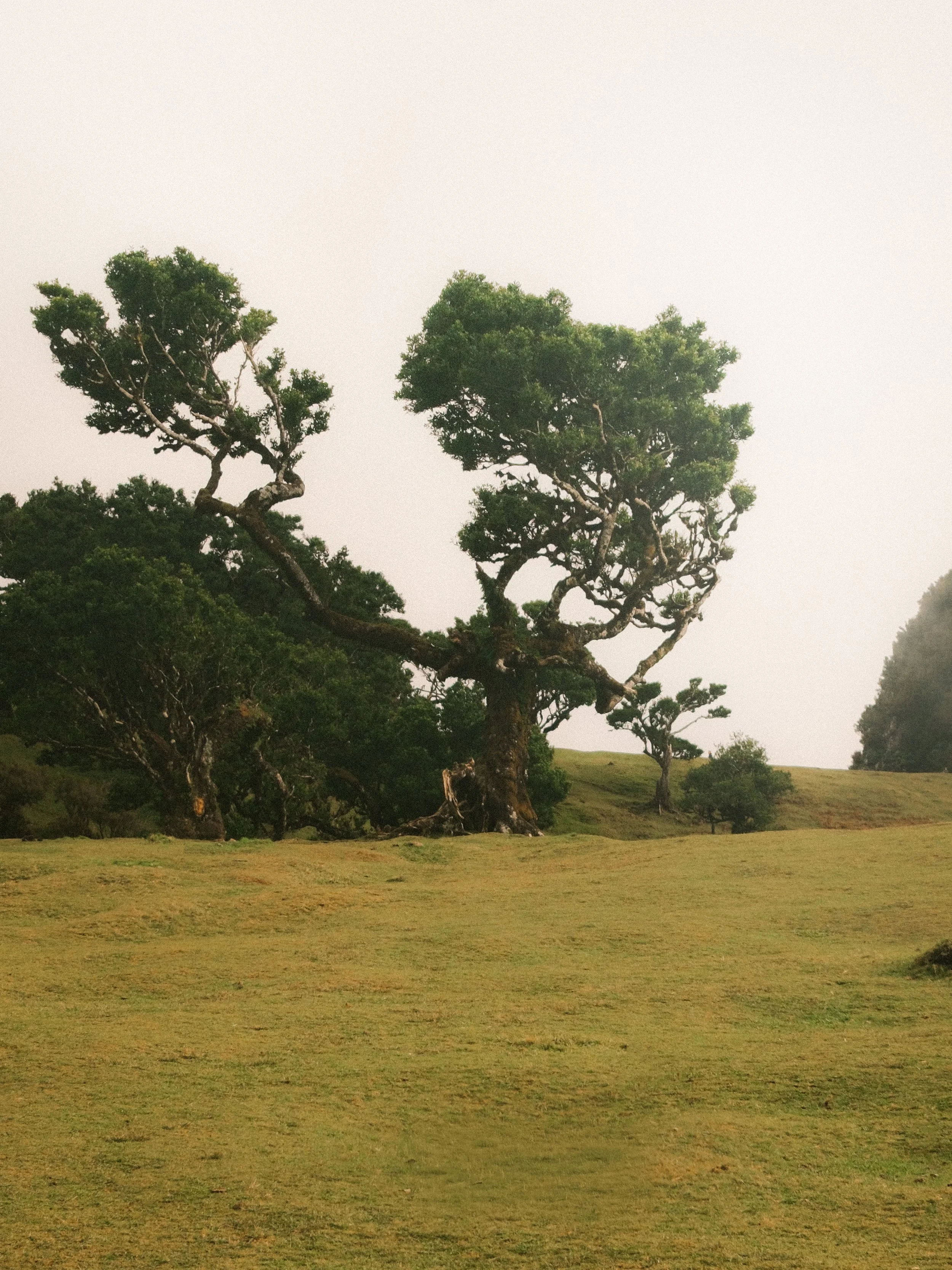 DSCF9372.jpg