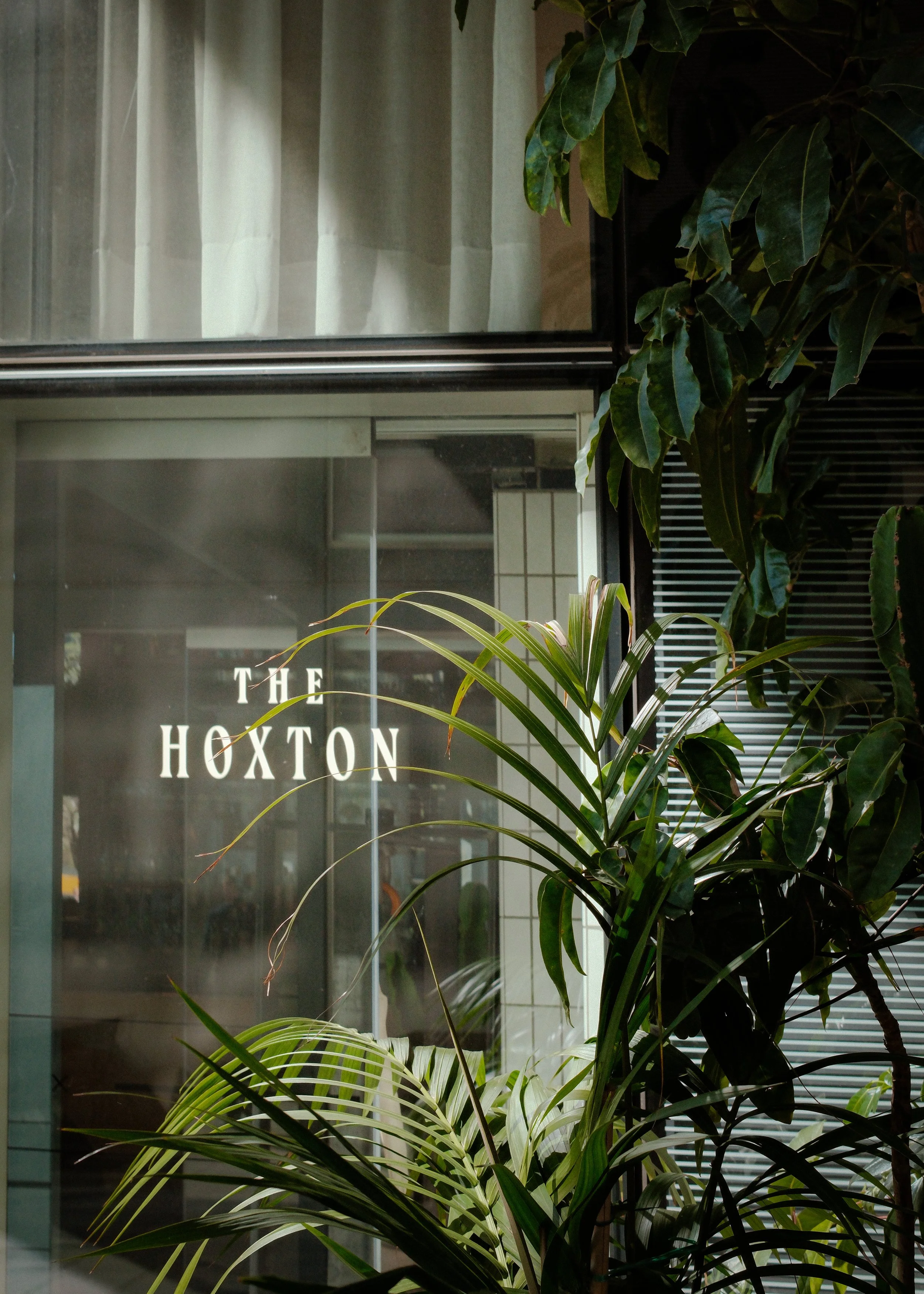 DSCF1545.jpg