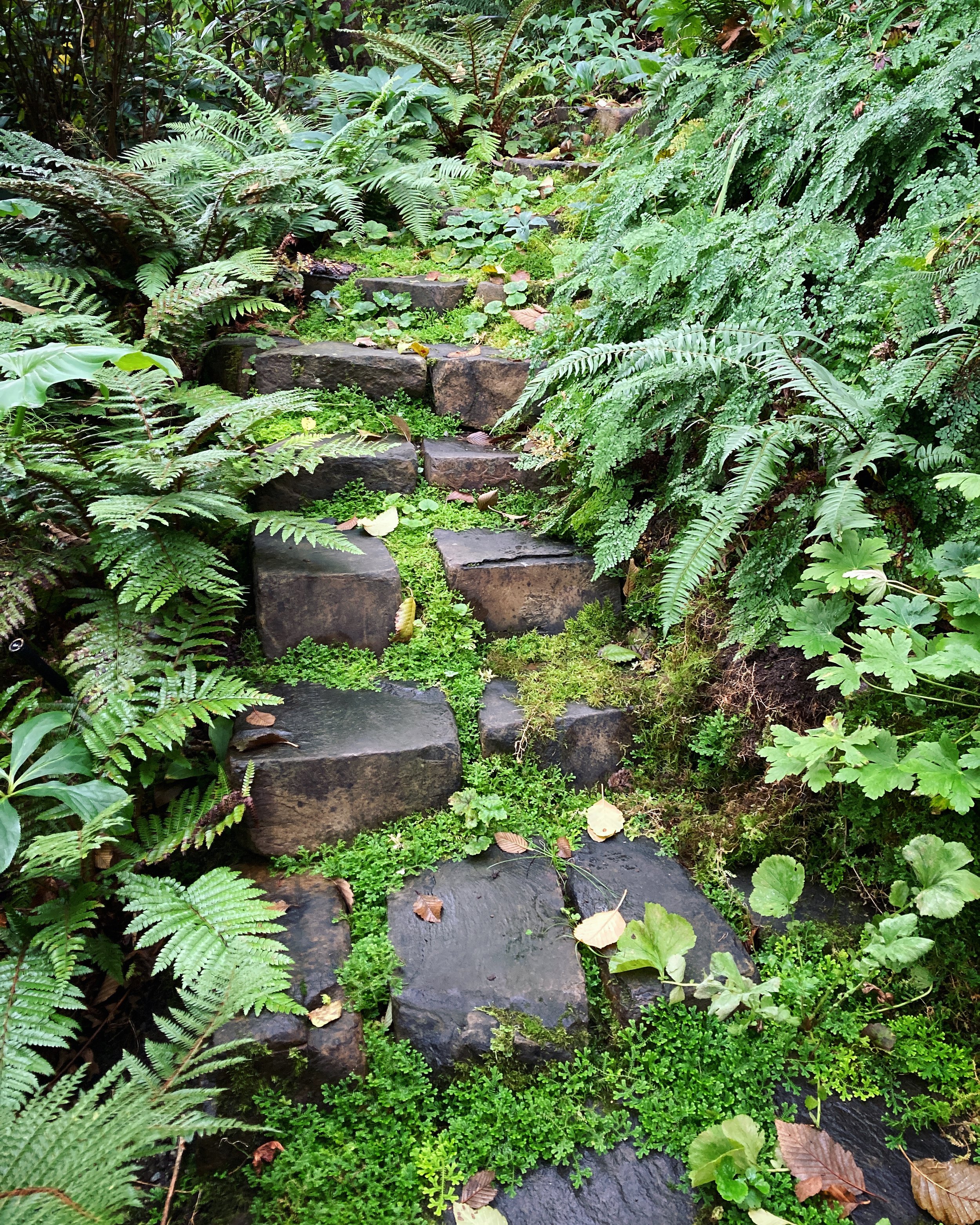 Stone steps