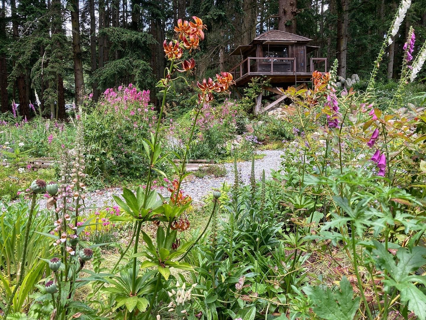 English cottage garden