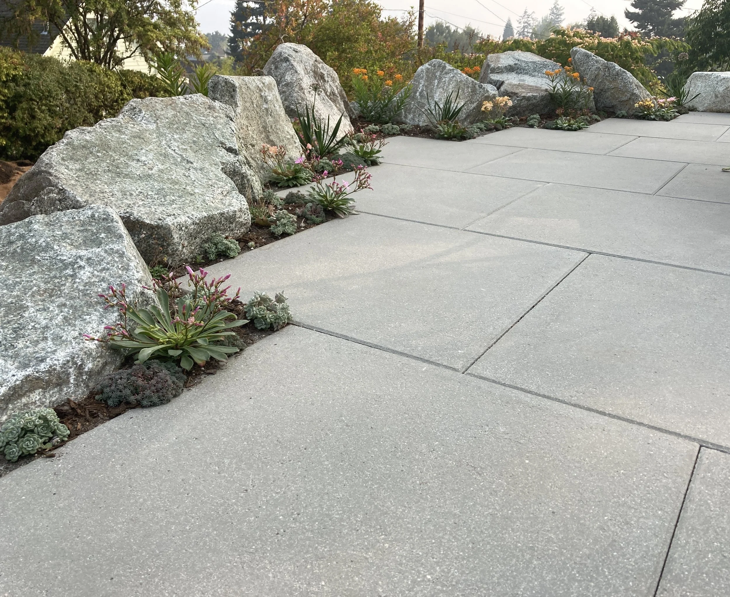 Architectural slabs with boulders and alpine plants