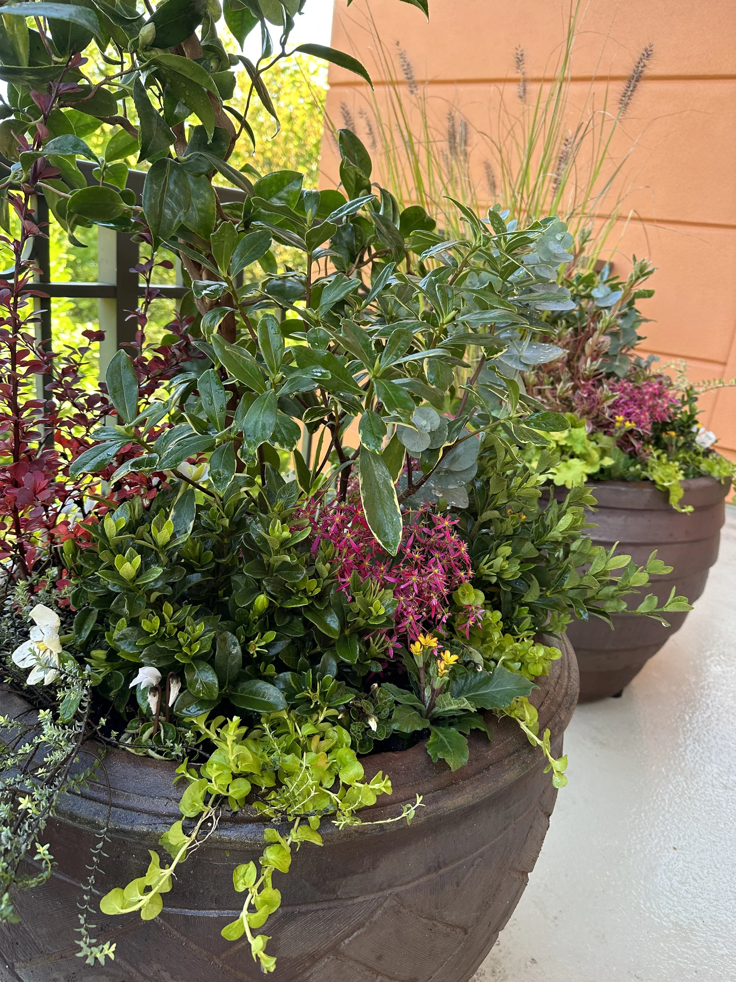 Detail of planted pots