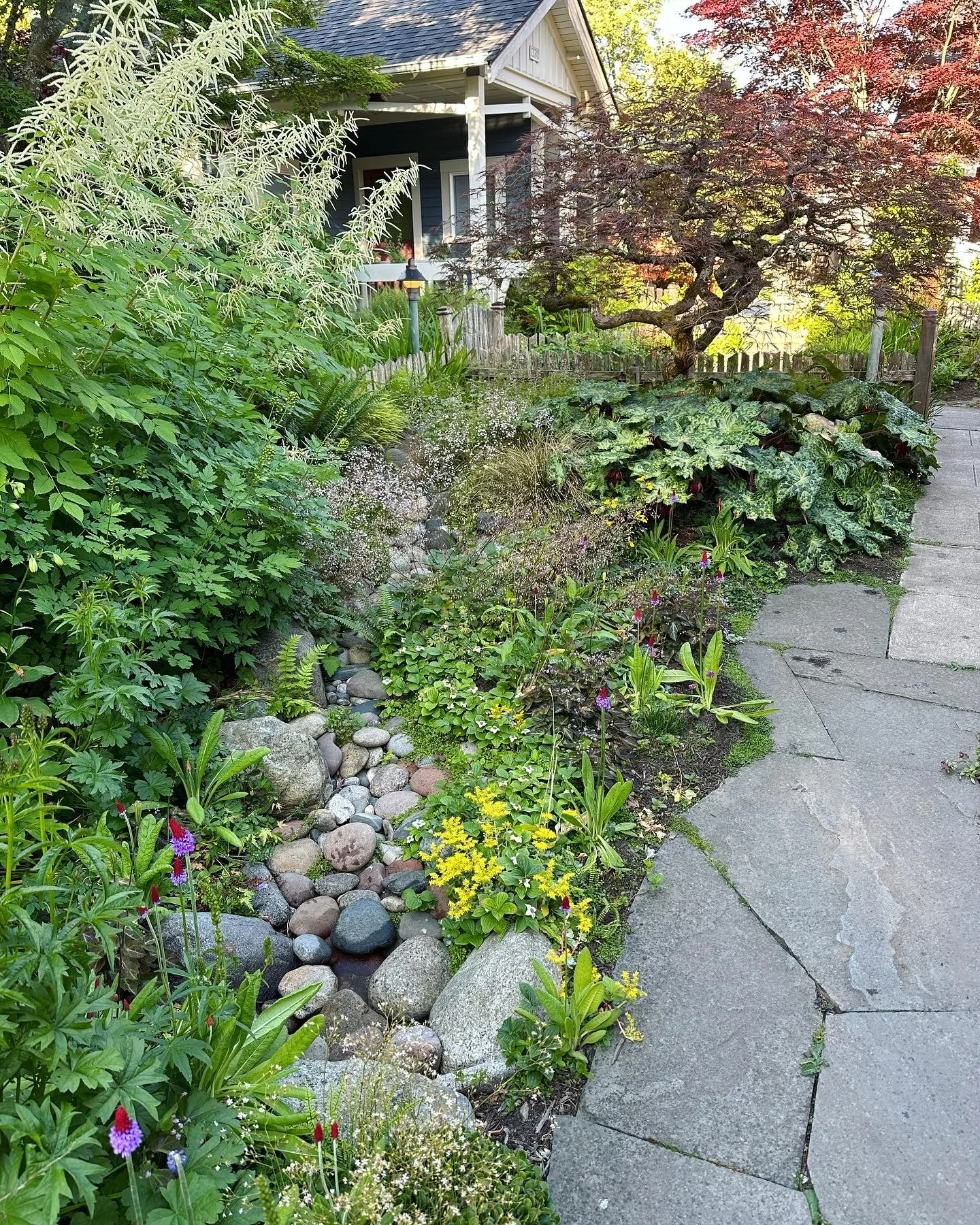 Small cottage garden