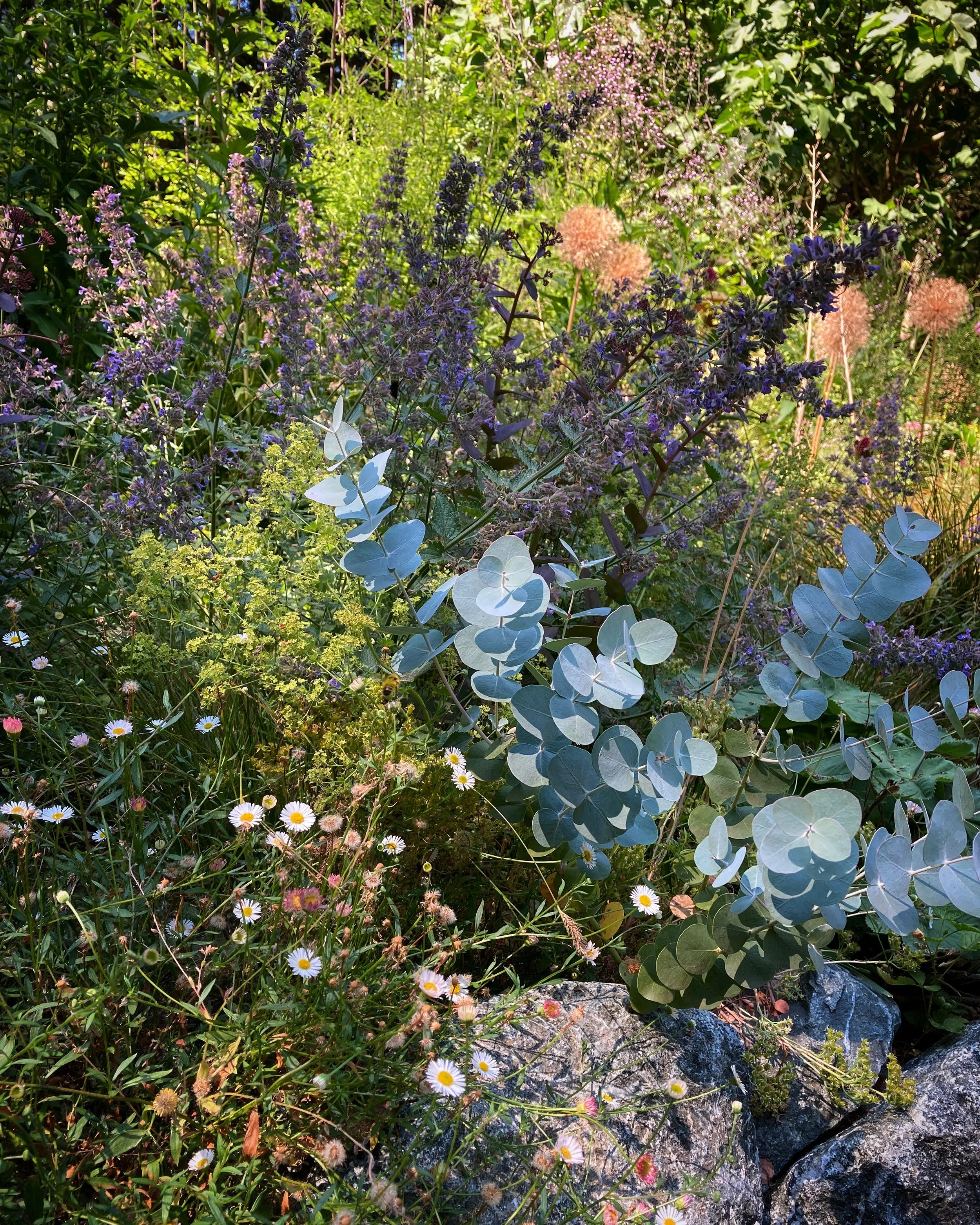 English garden detail