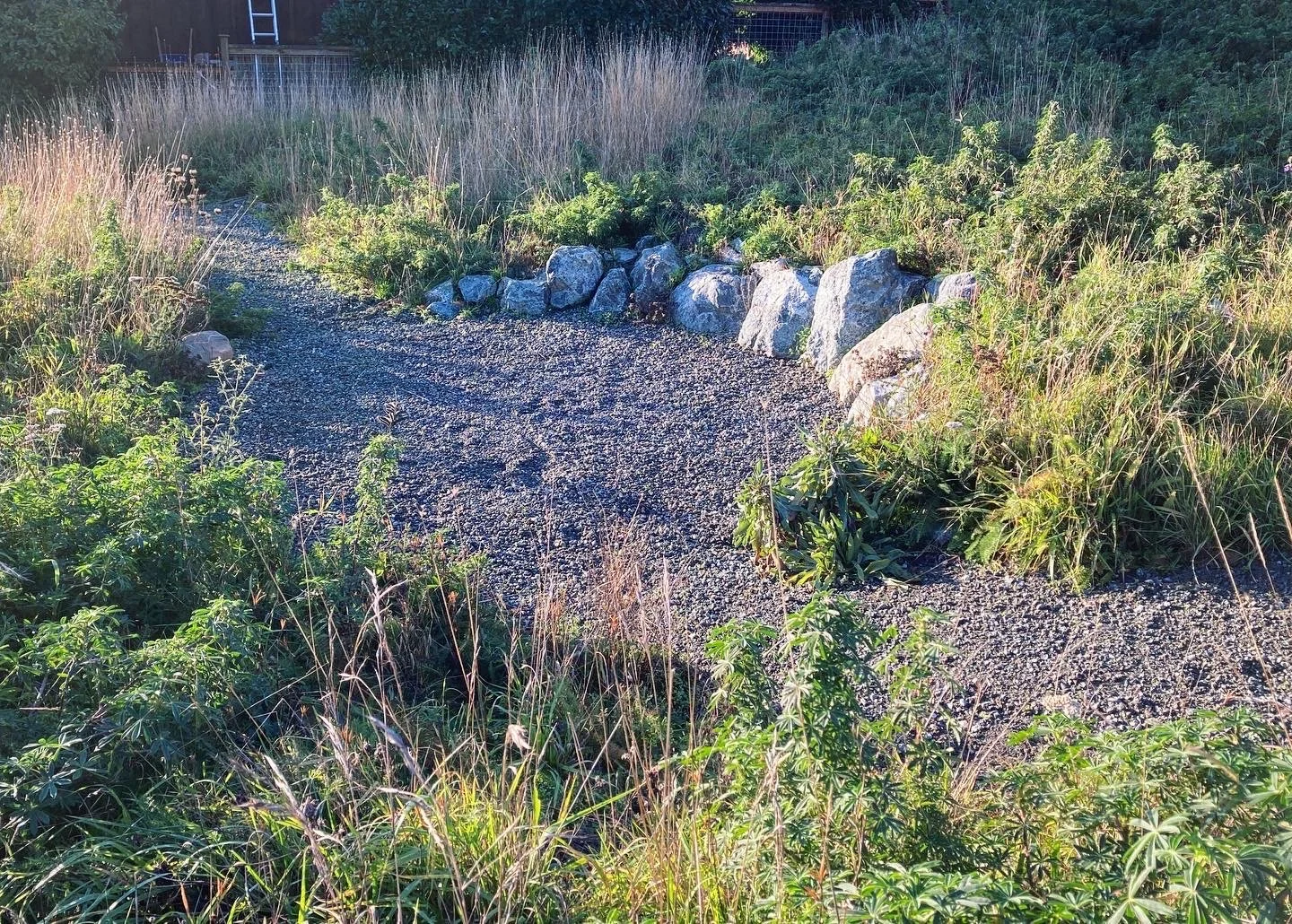 Fall native meadow with sitting area