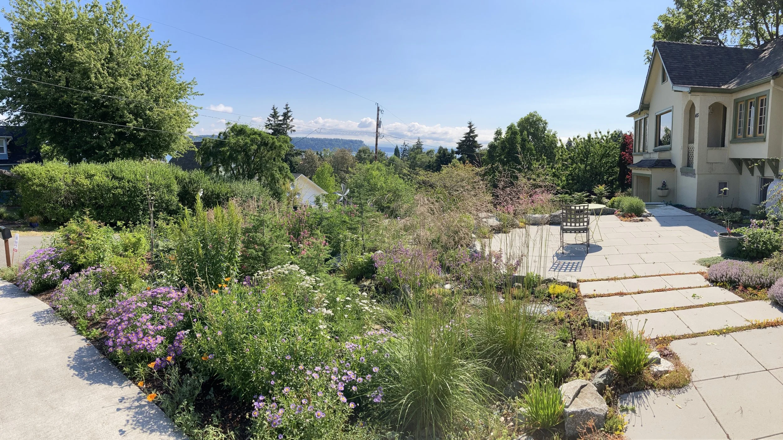 Native perennial garden