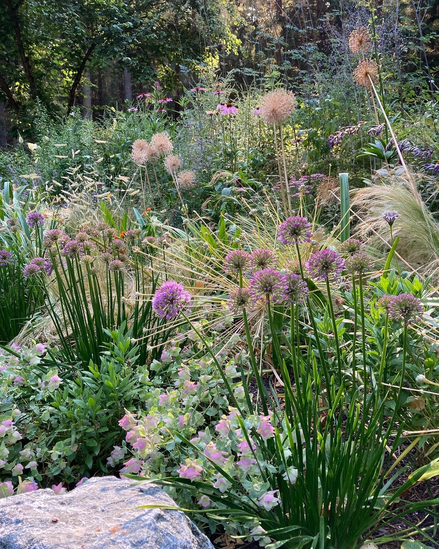 English cottage style garden