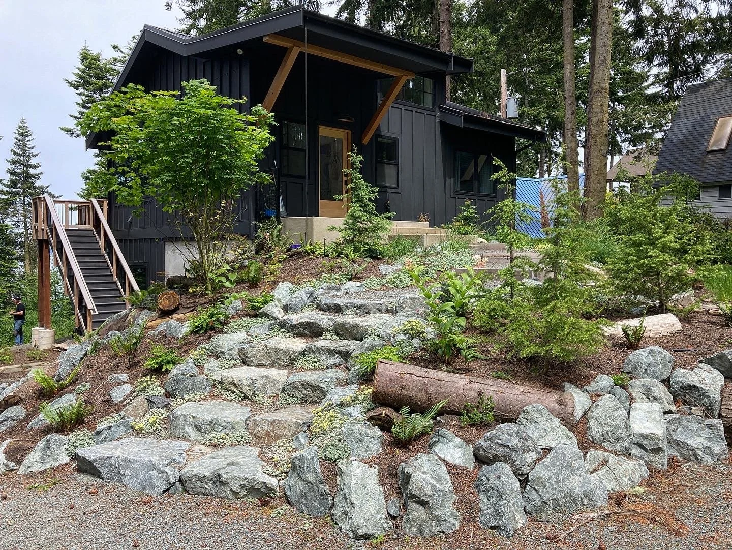 Native woodland garden with boulders