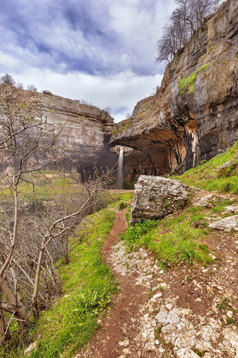 Balou Balaa Spring 0462.jpg