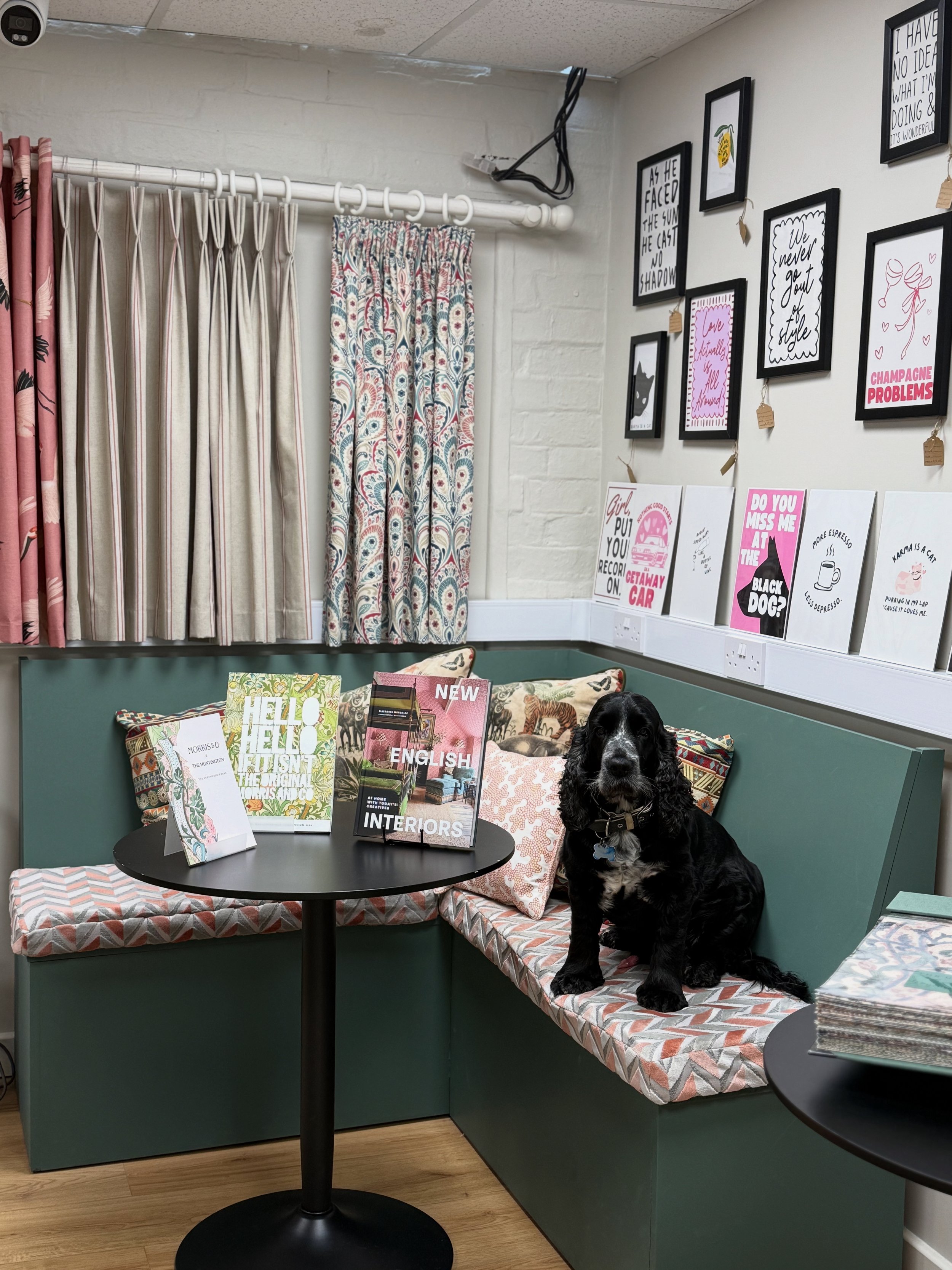 A black dog sitting on a green cushioned bench in a cozy room decorated with colorful cushions, framed artwork, and magazines, with curtains and framed prints on the wall.