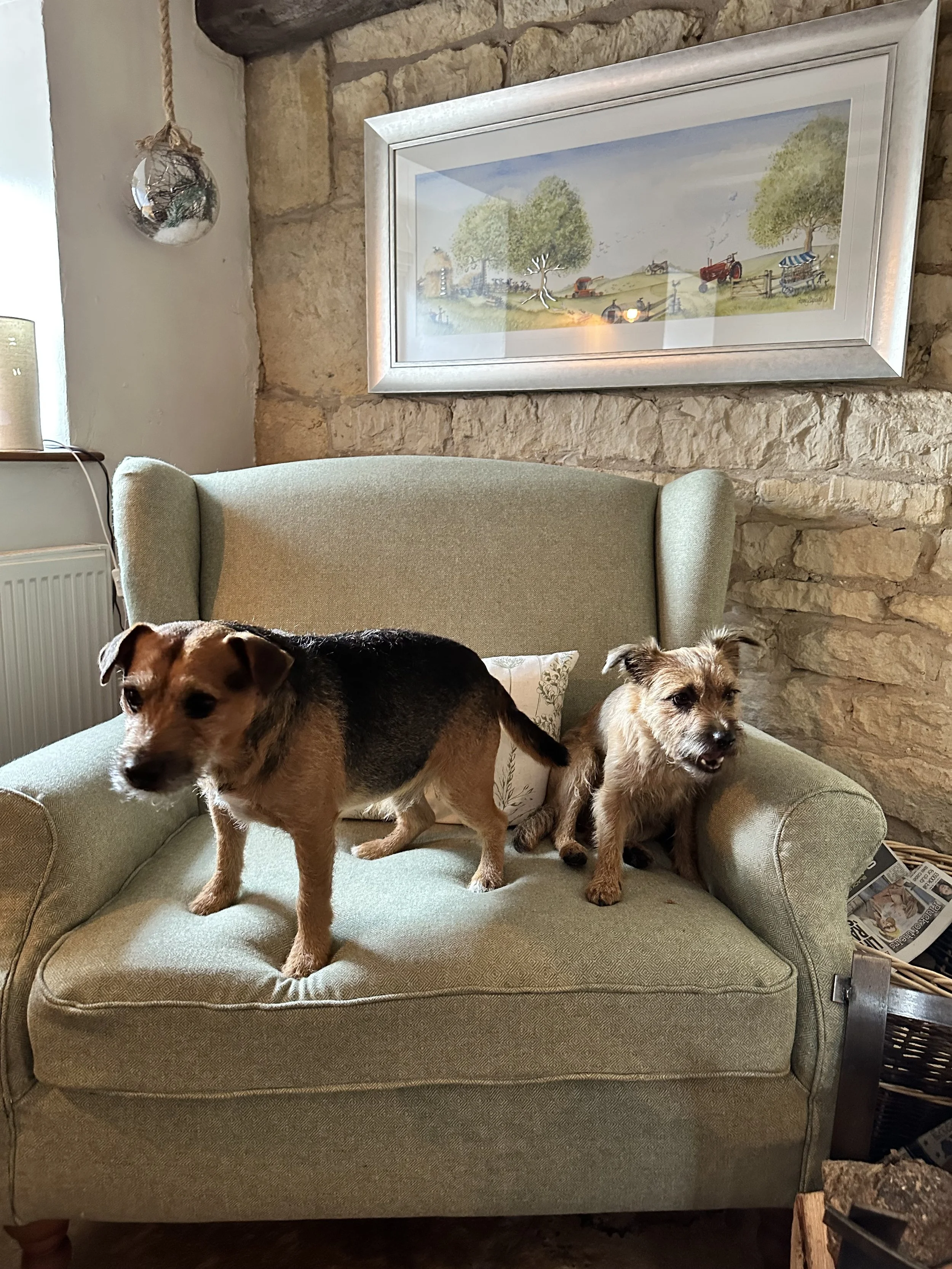 Two small dogs sitting on a light green armchair in a rustic room with exposed brick wall and a framed landscape painting above them.