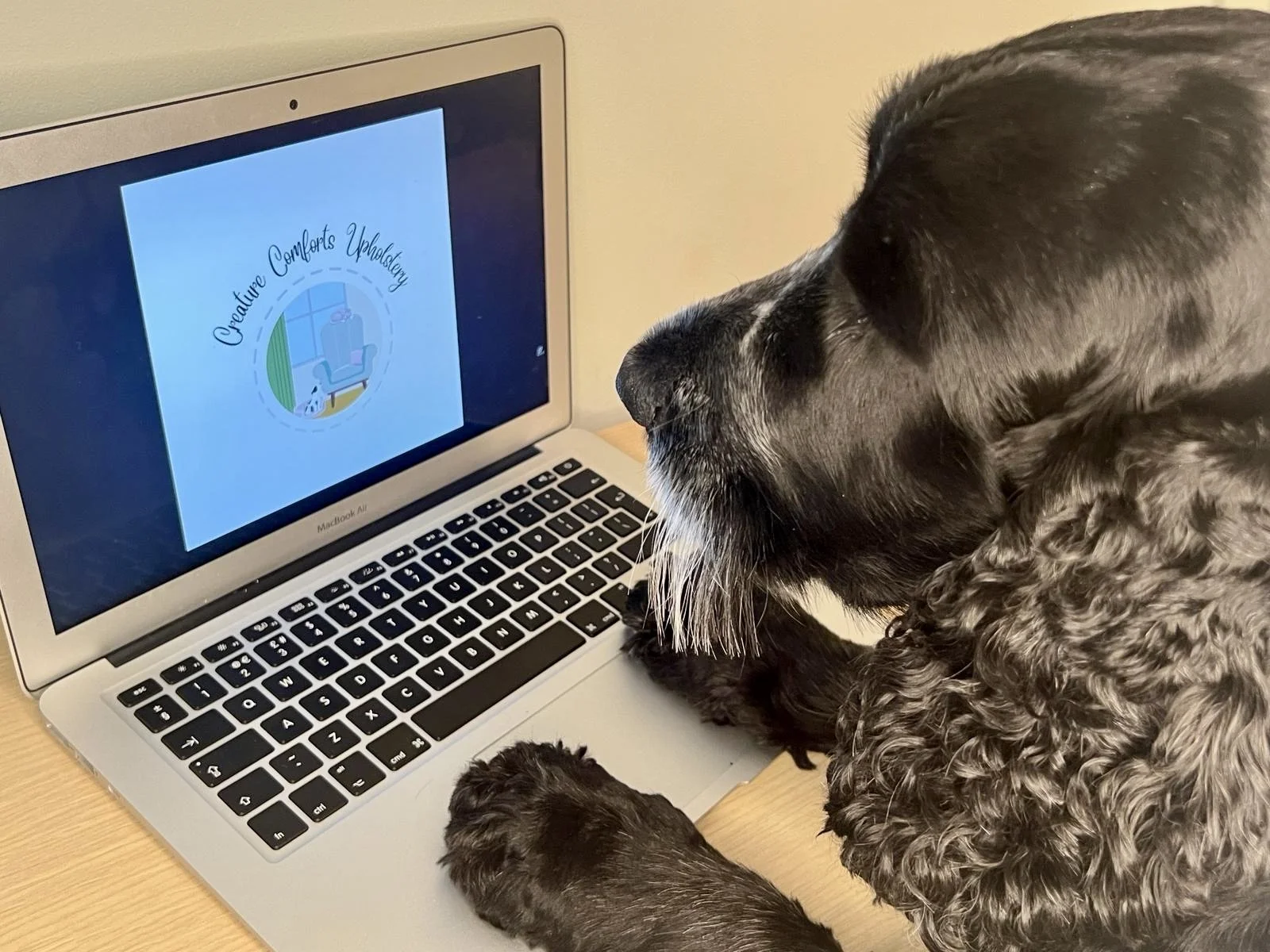 A dog sitting in front of a laptop with a logo on the screen that says 'Creations Upholstery' with an illustration of a window and a chair.