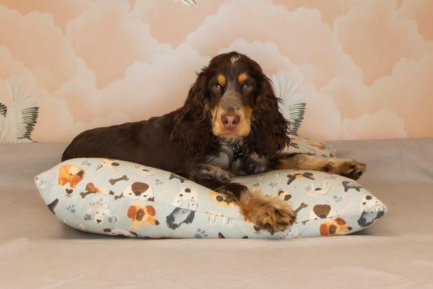 Dog lying on a pillow with a dog pattern, on a bed with a light gray sheet, against a cloud-themed wall background.
