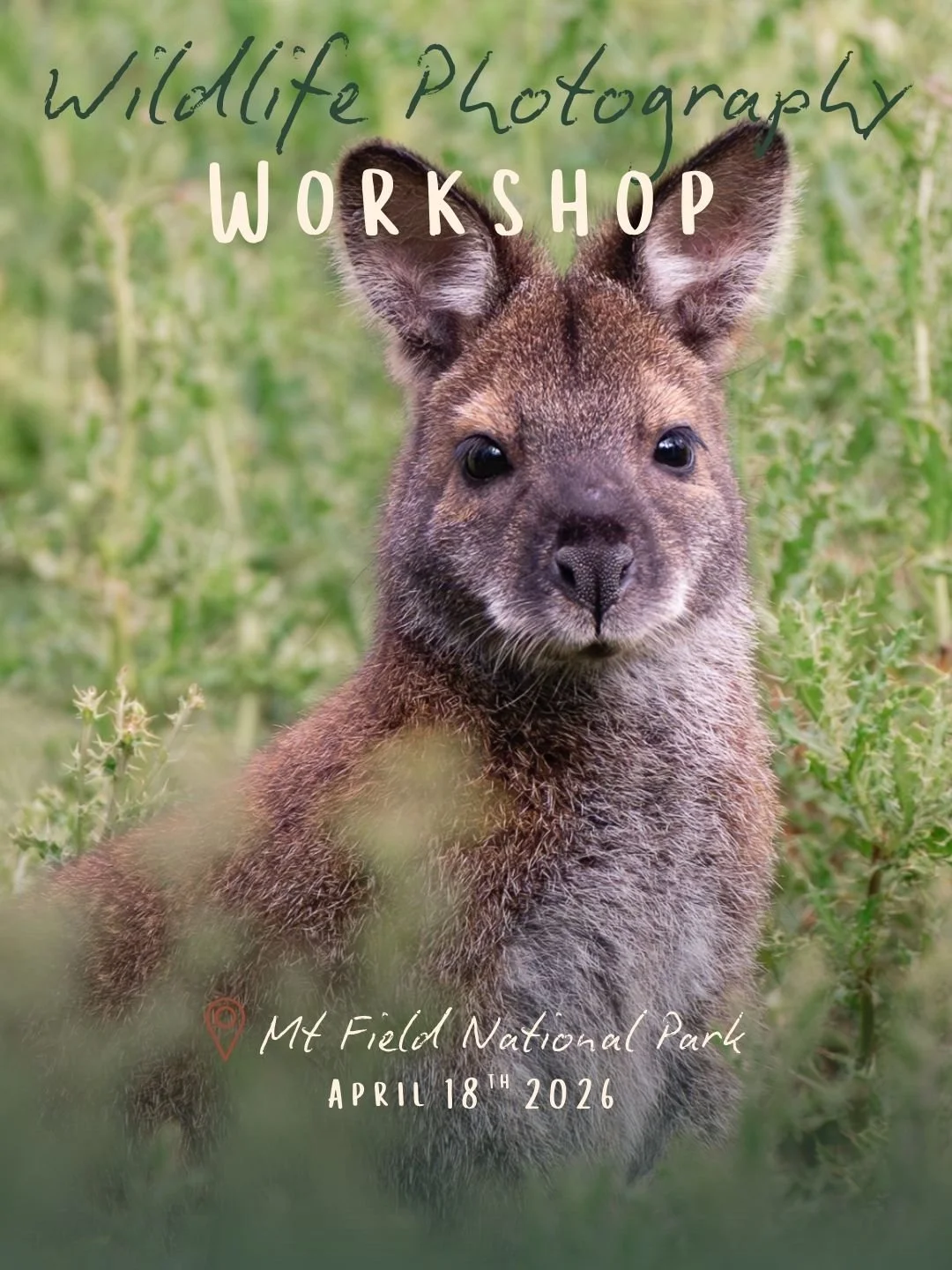 Wildlife photography workshop.jpg