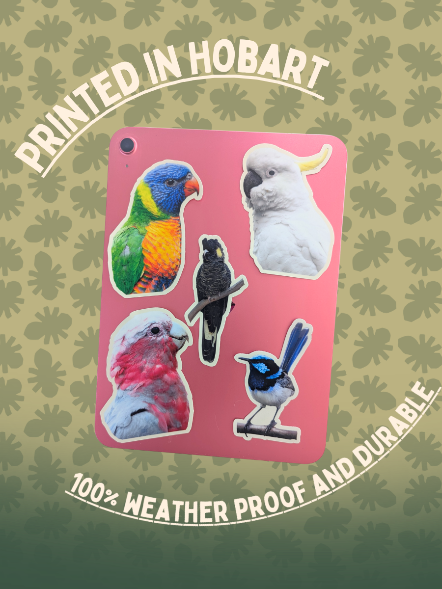 Bird Stickers.png