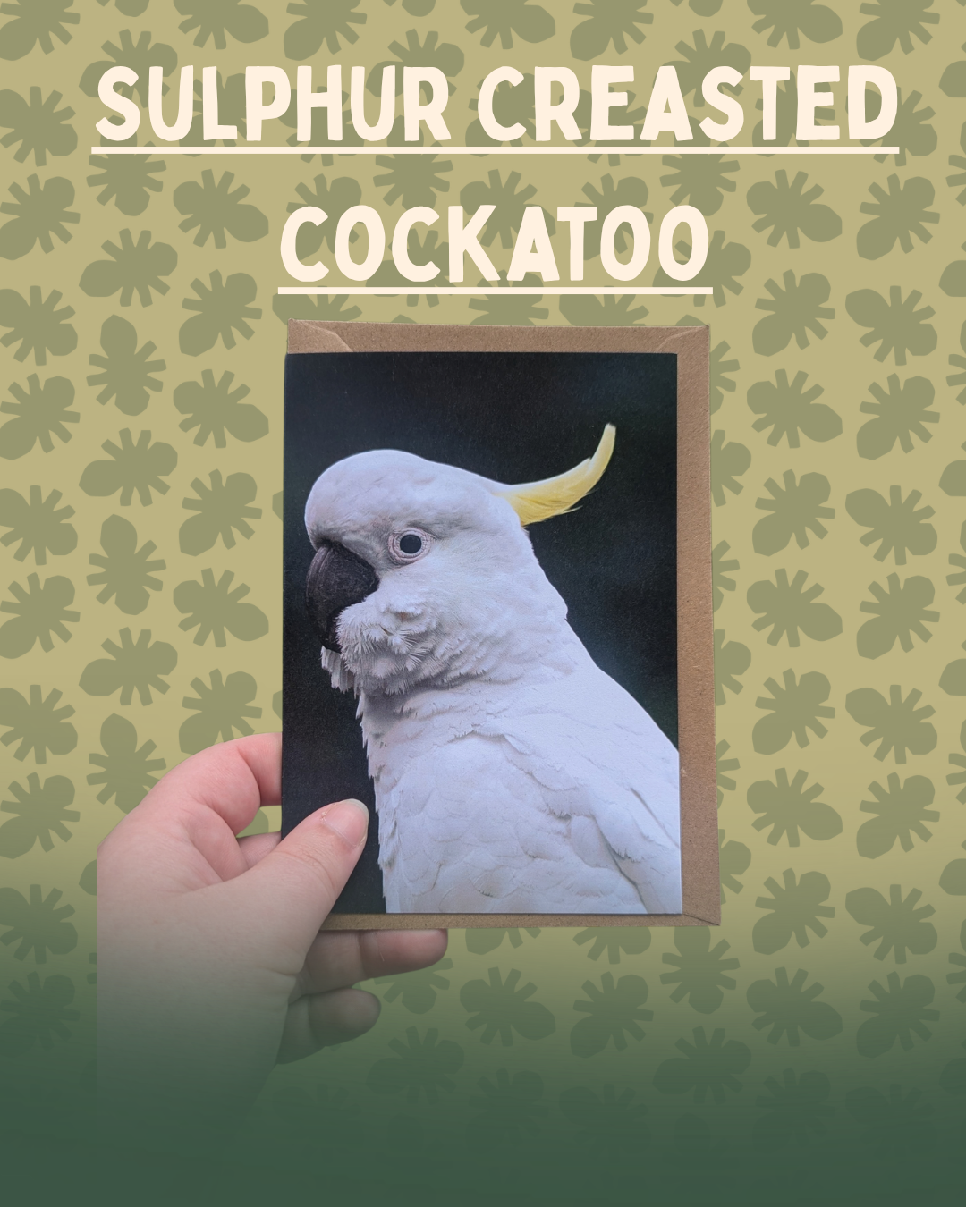 15.png
