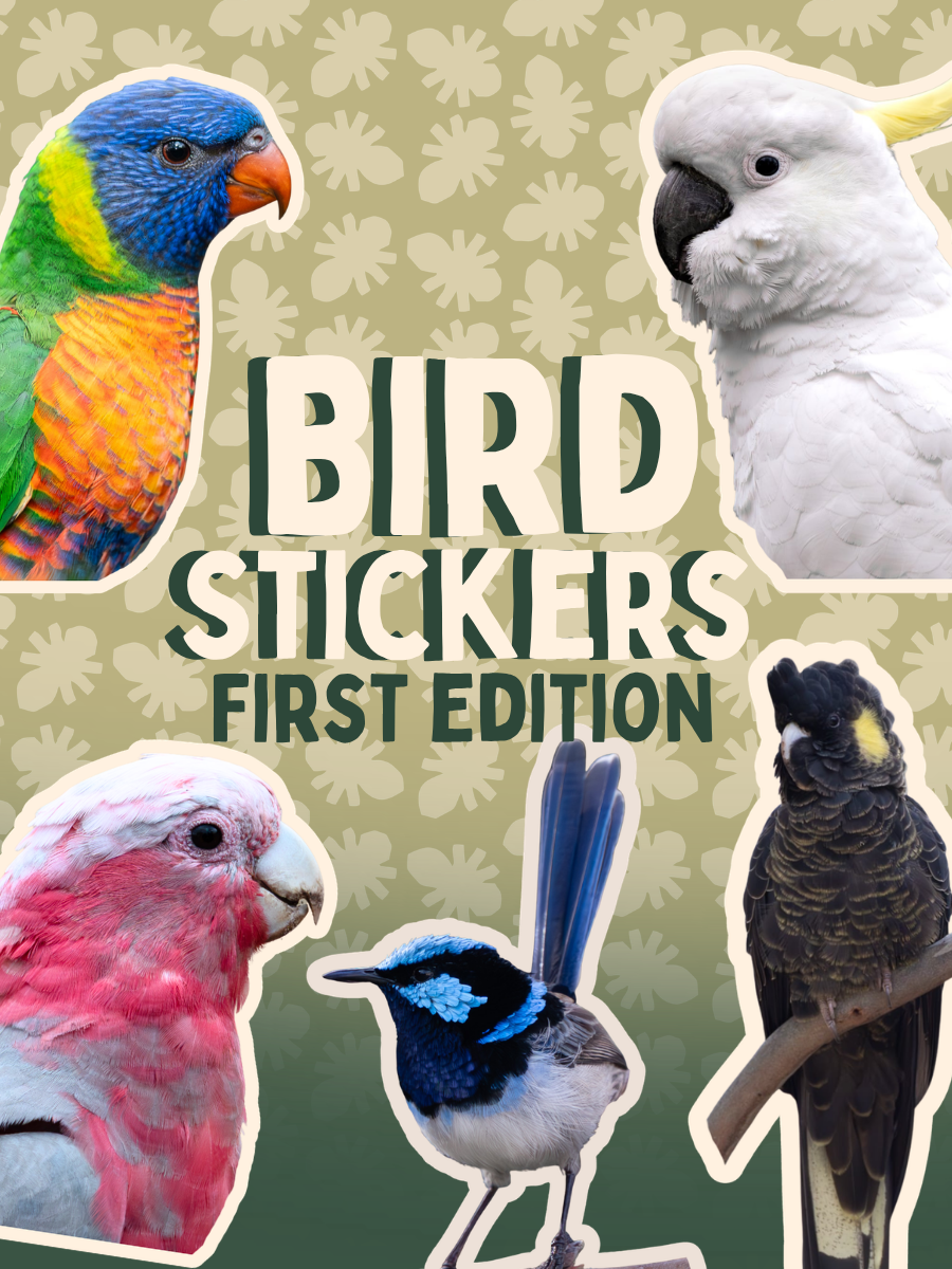 Bird stickers