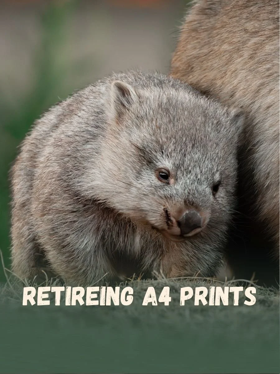 Retiring A4 prints